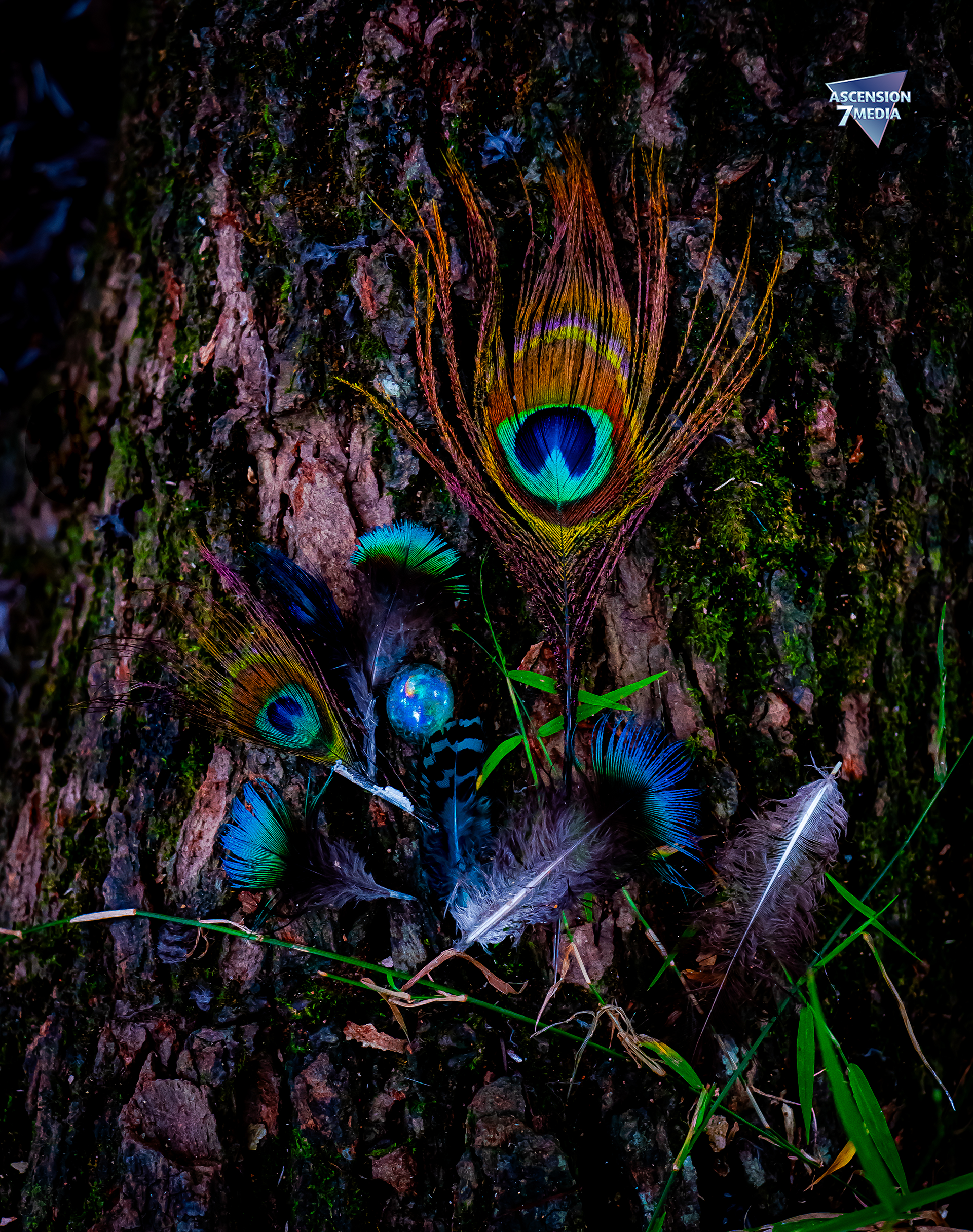 Forensic Photography 2