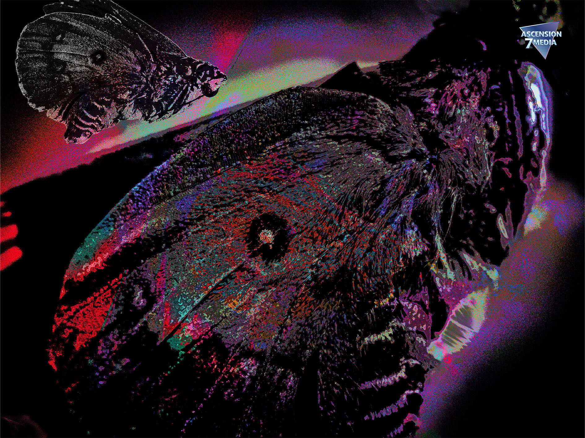 The Mothman