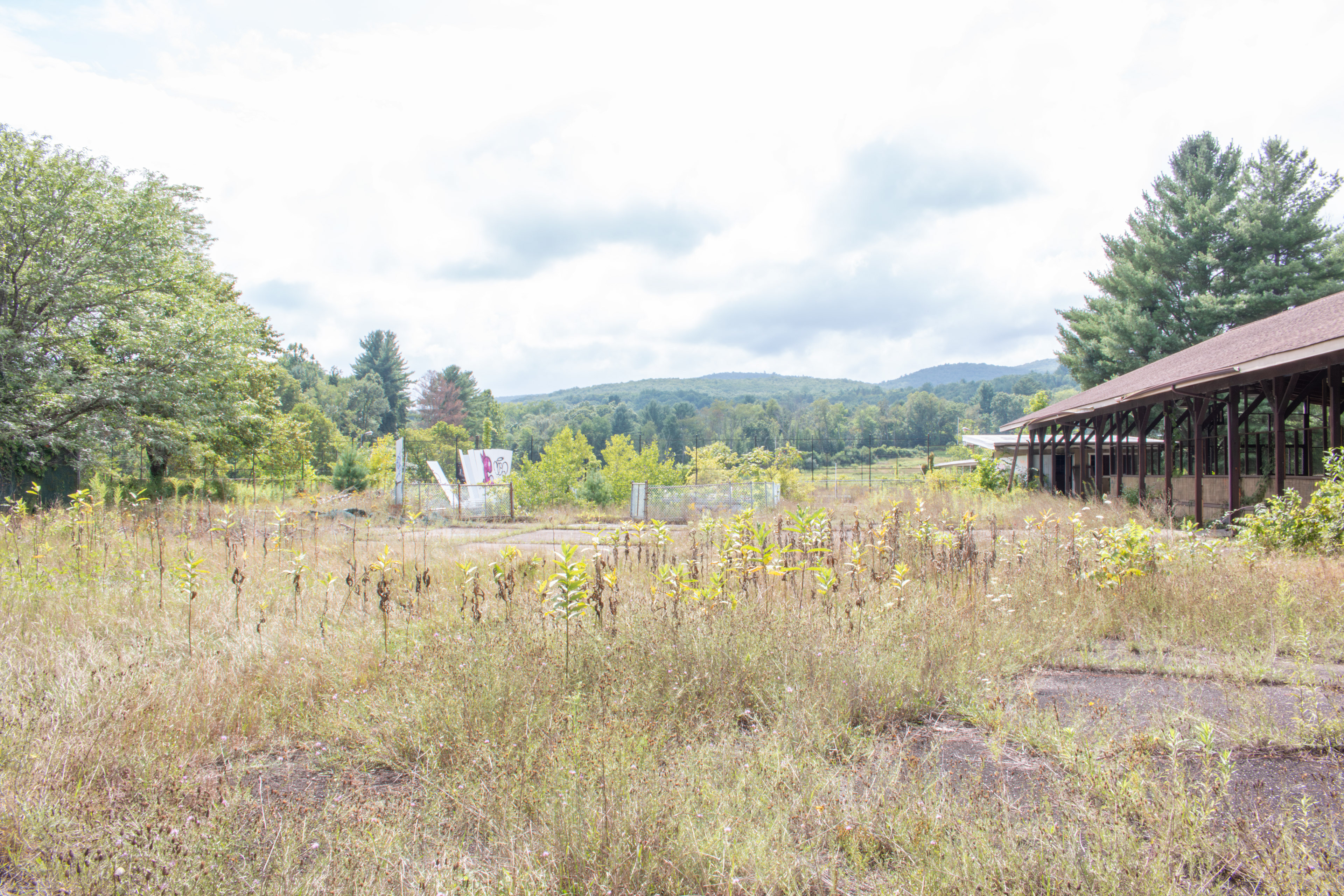 Other Outdoor Pool Covered by Grass, 2021