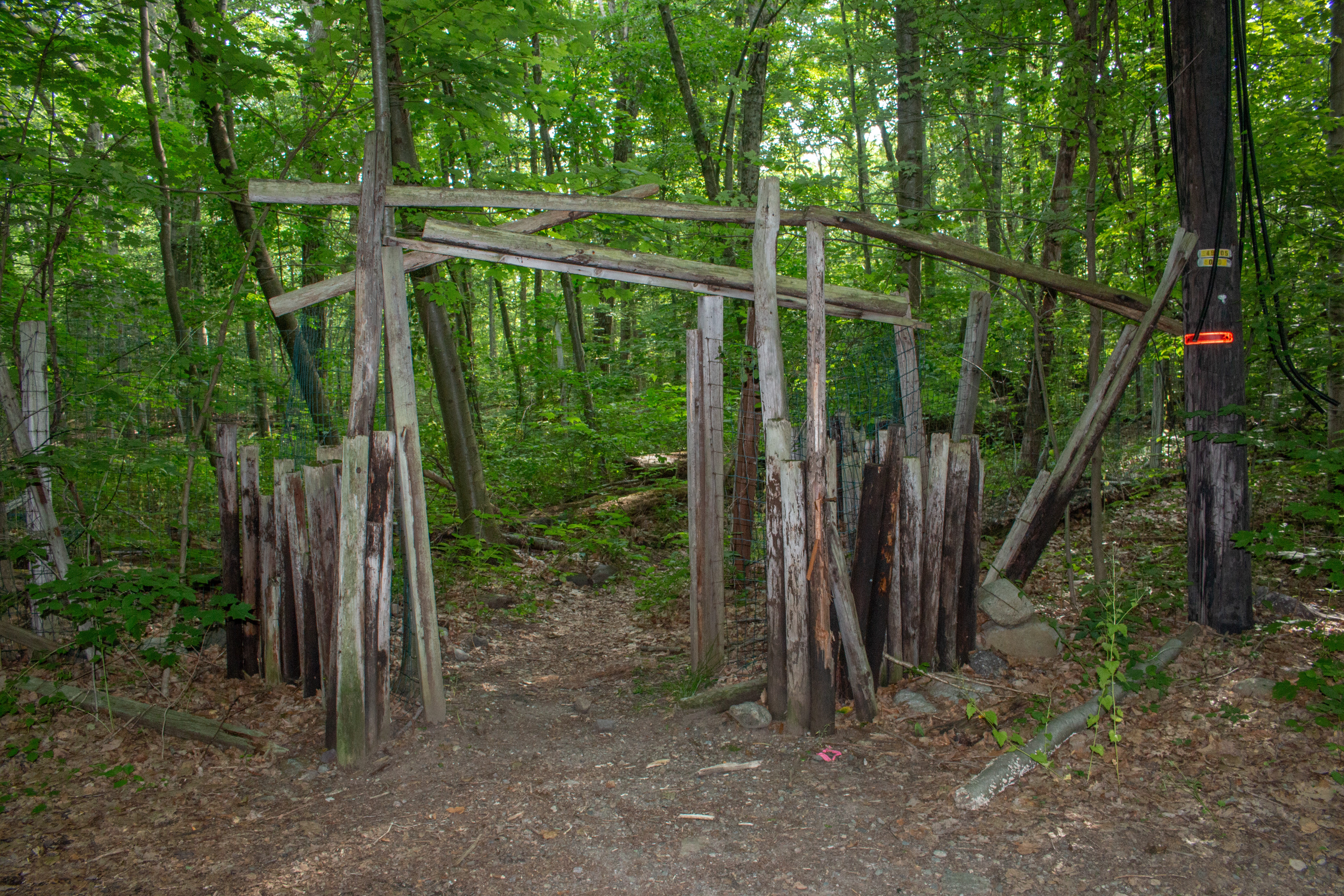 Entrance to the deer park, 2020