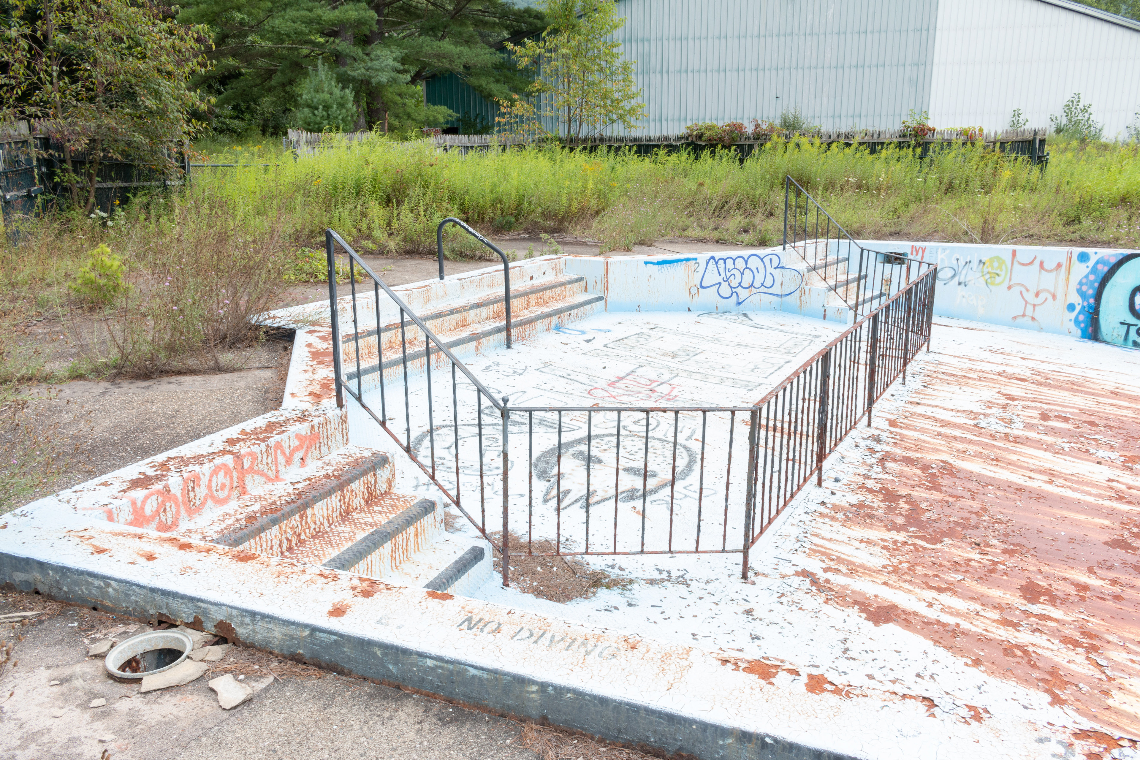 Pool Fence, 2021