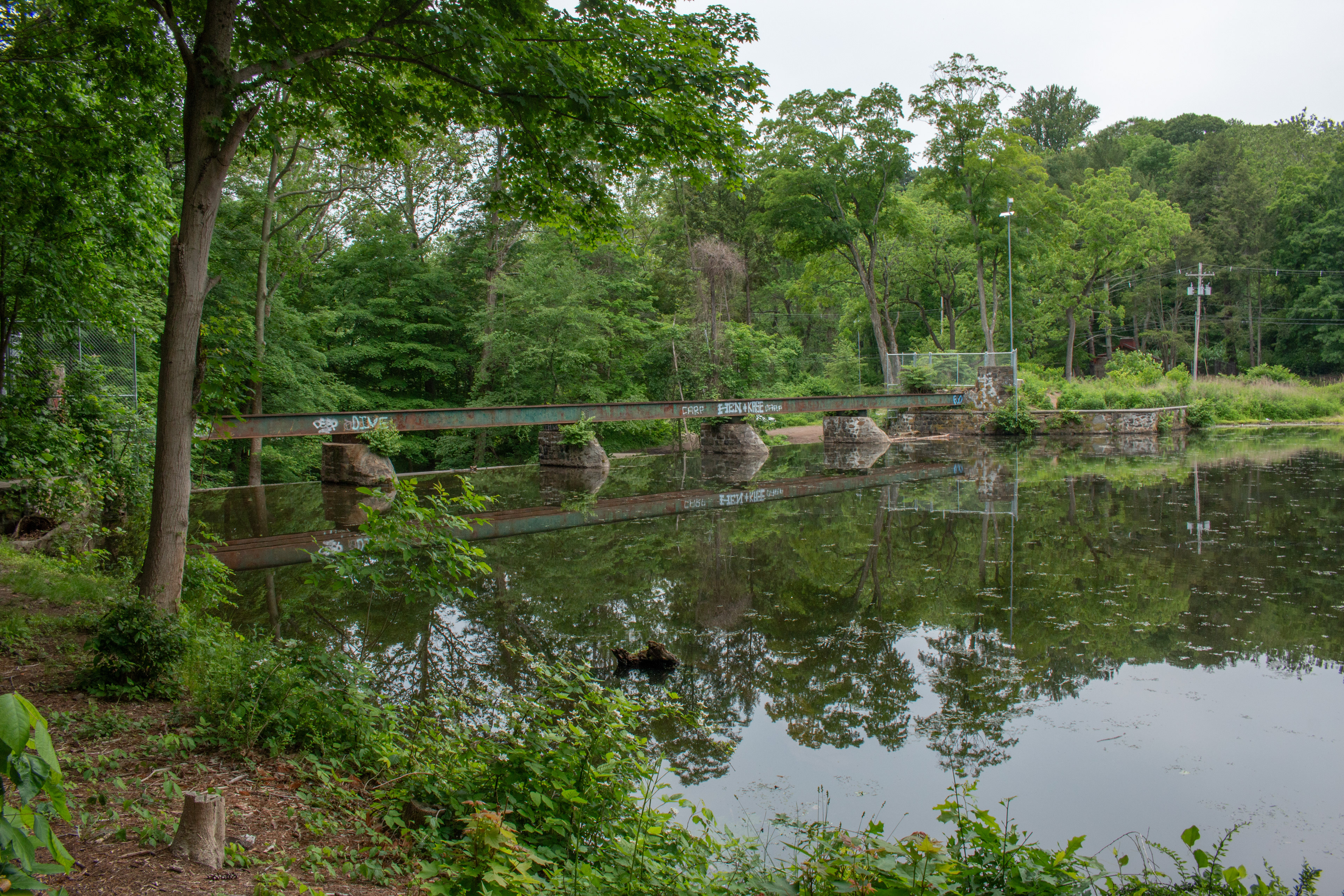 Foundation of Old Bridge, 2021