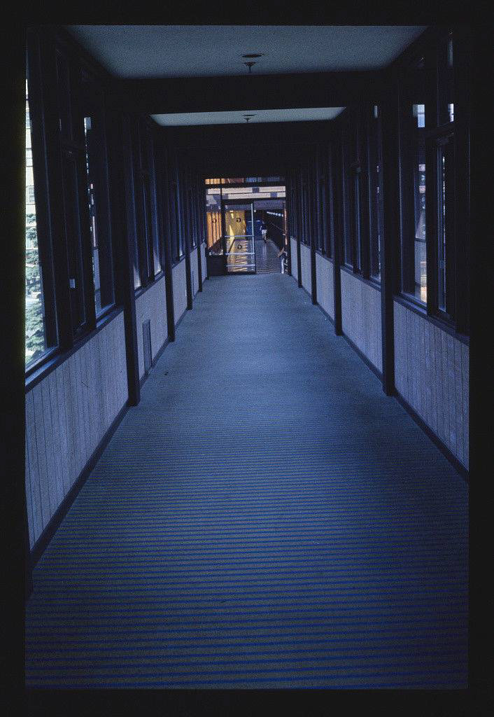 1977