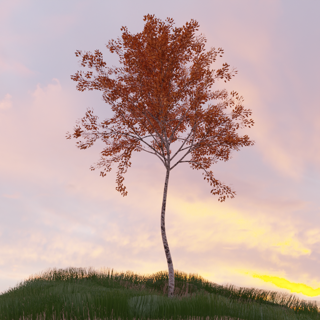 tree_idk_either.png