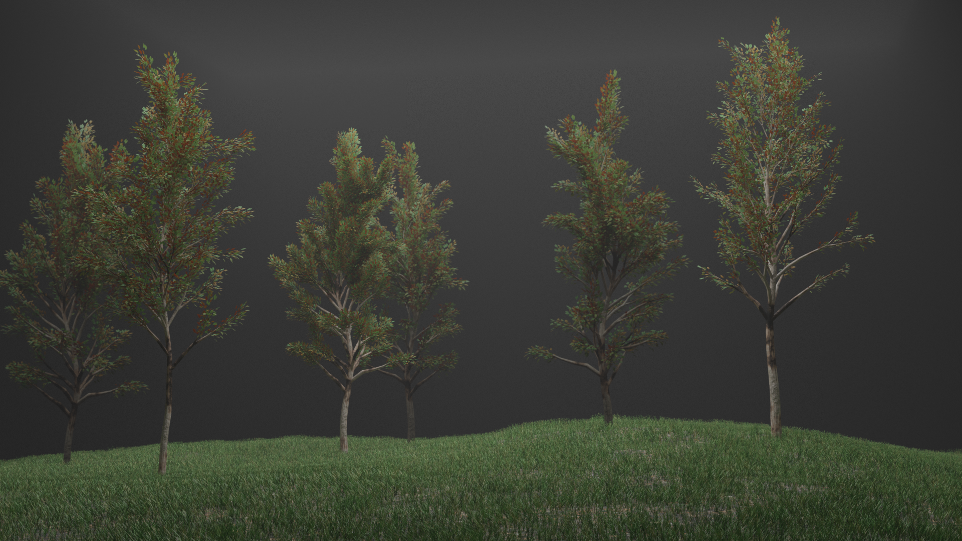 trees_need_light_too.png