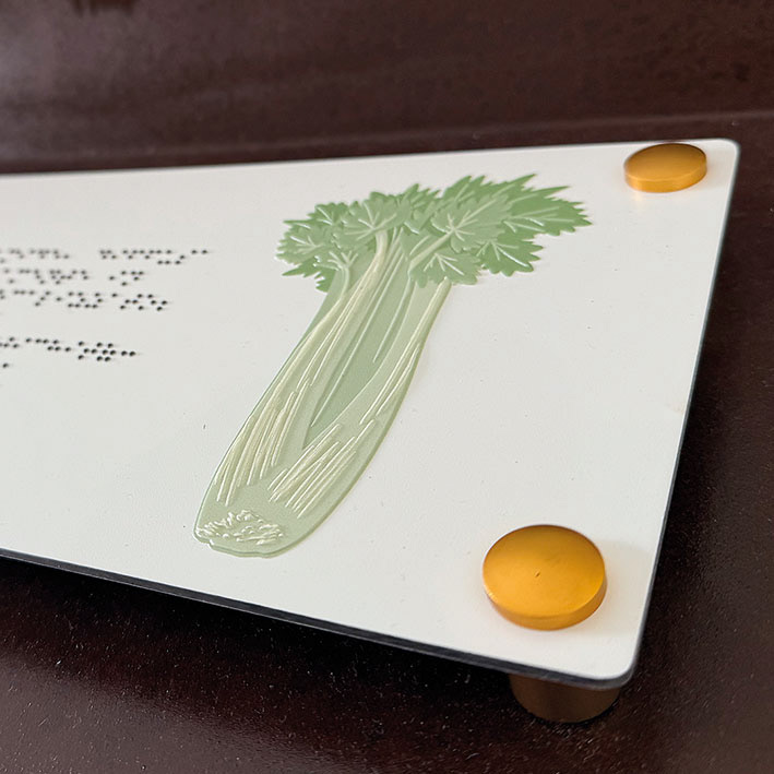 Tabella informativa museale, particolare elemento tattile - Torricella P. (CH)