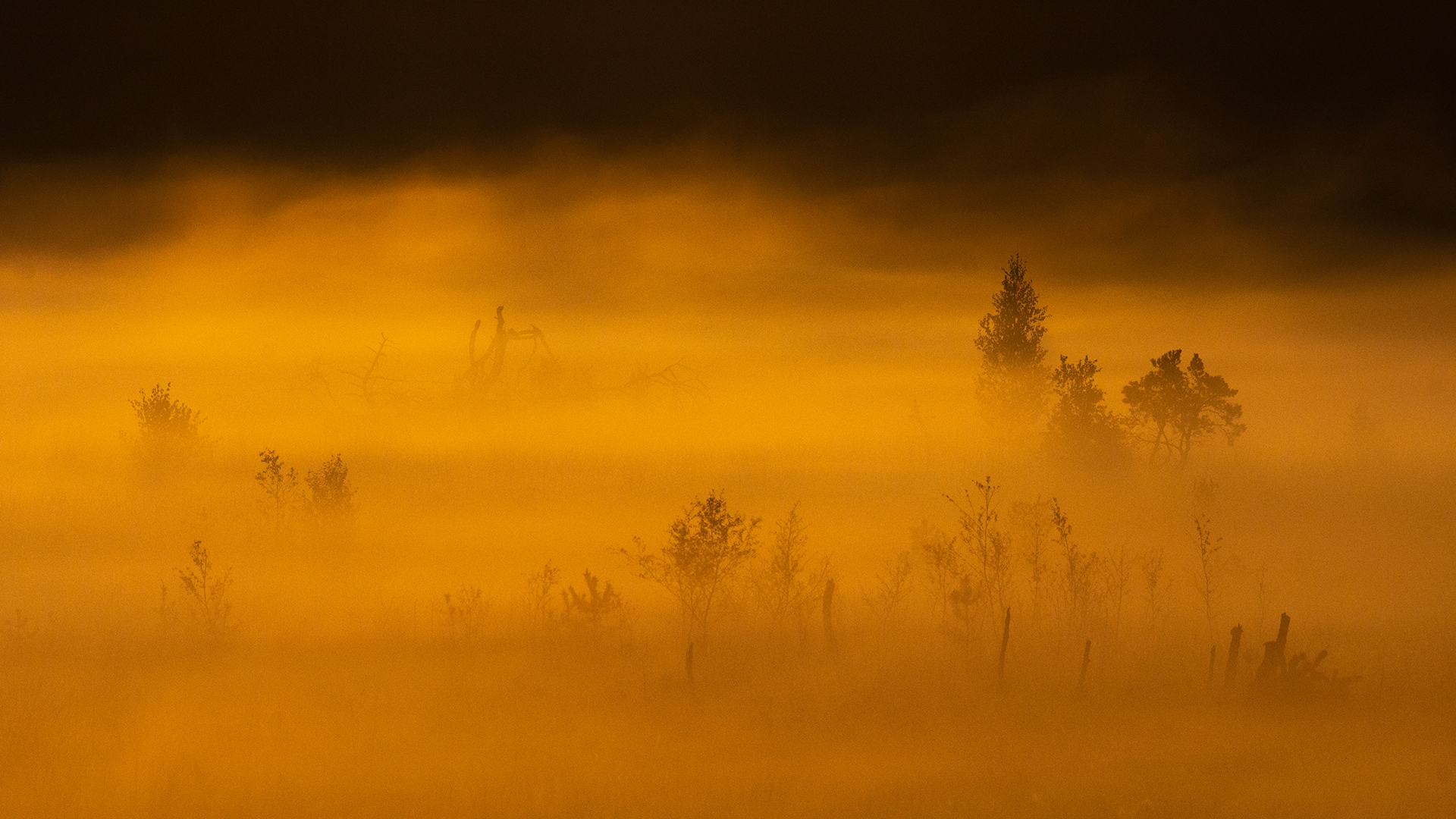 Heatlands I