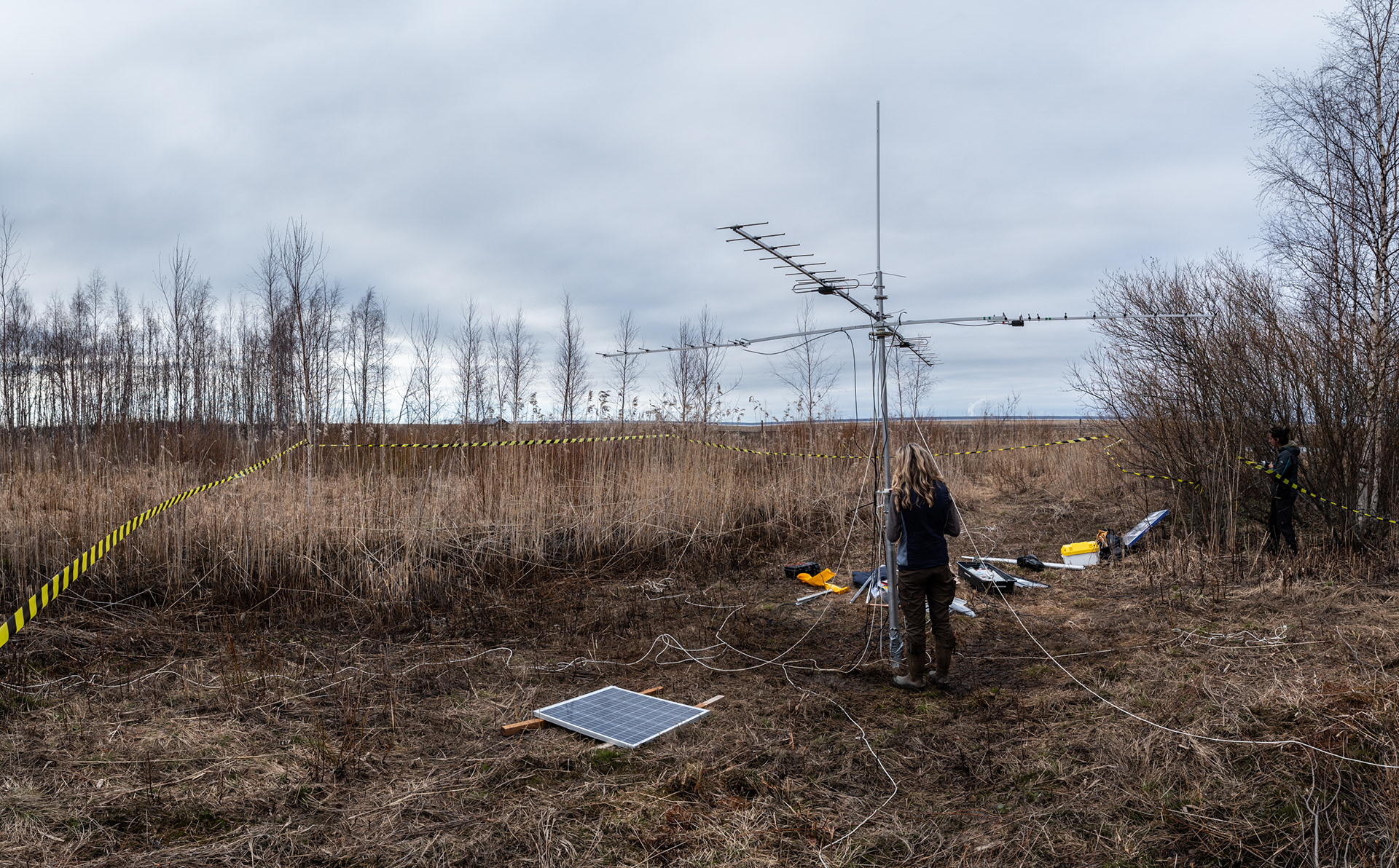 This giant antenna receives the signal of all the radio tags. Each field day we can download the data.