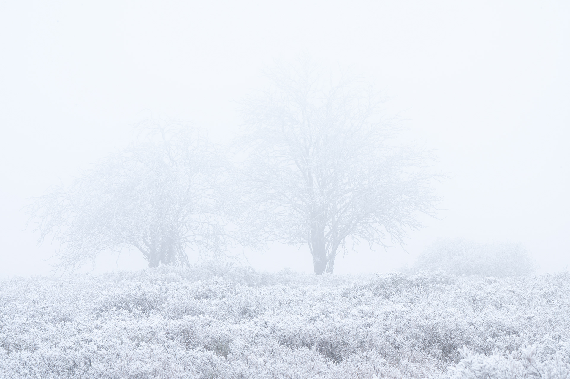 Winter V - High Fens