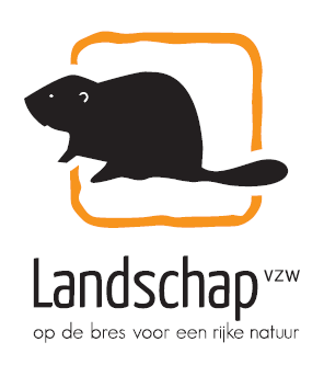 Invited as a speaker on the Lowland photography festival in 2018 and held an exposition on the same festival in 2019. I also provided the cover photo for their magazine (3th issue 2019)