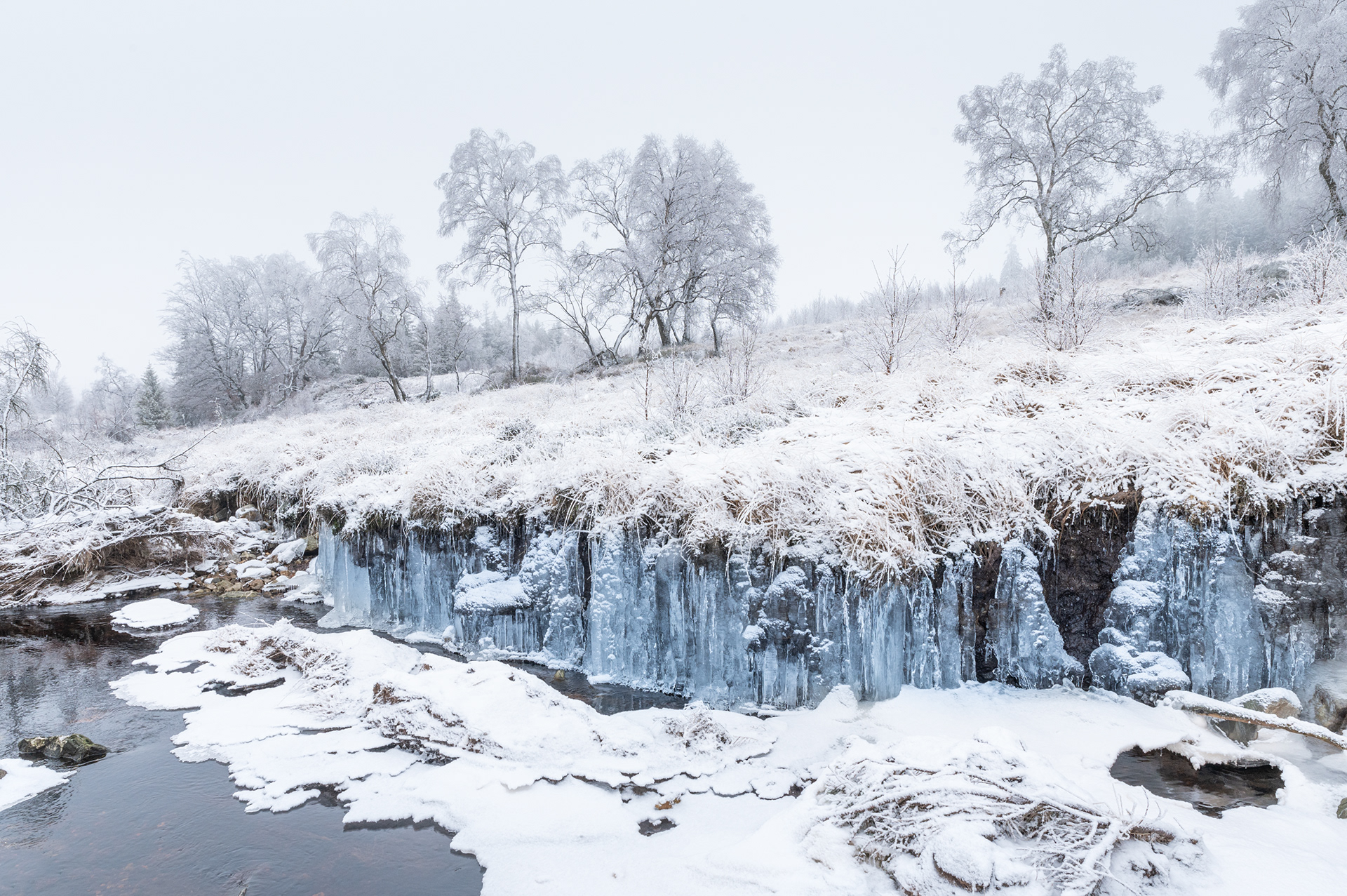 Winter VII - High Fens