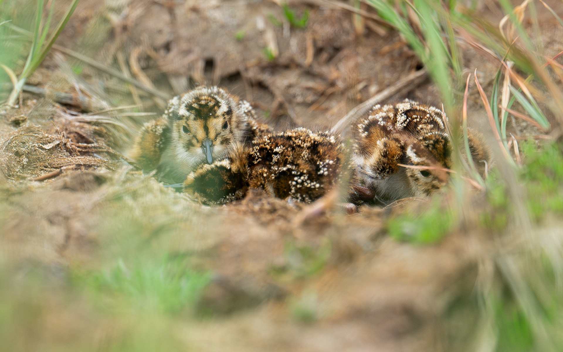 Is there still hope?