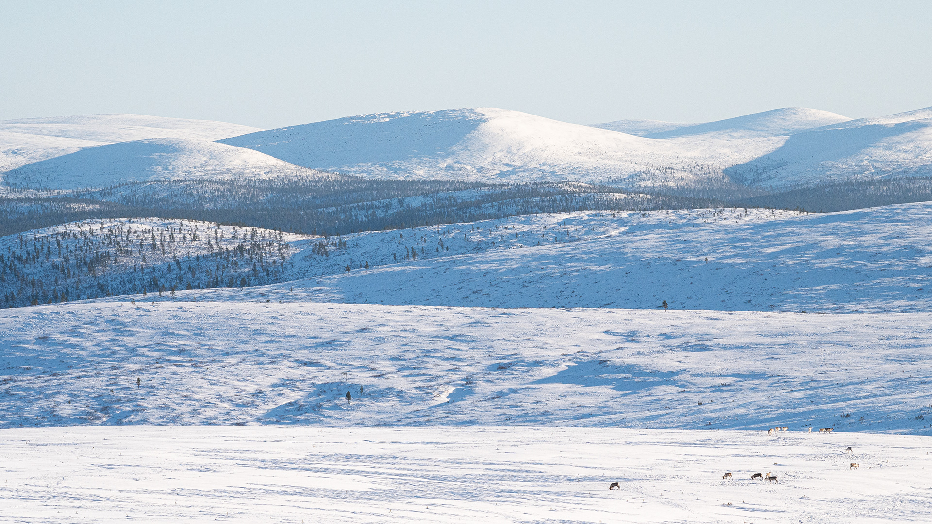 Winter landscape VI