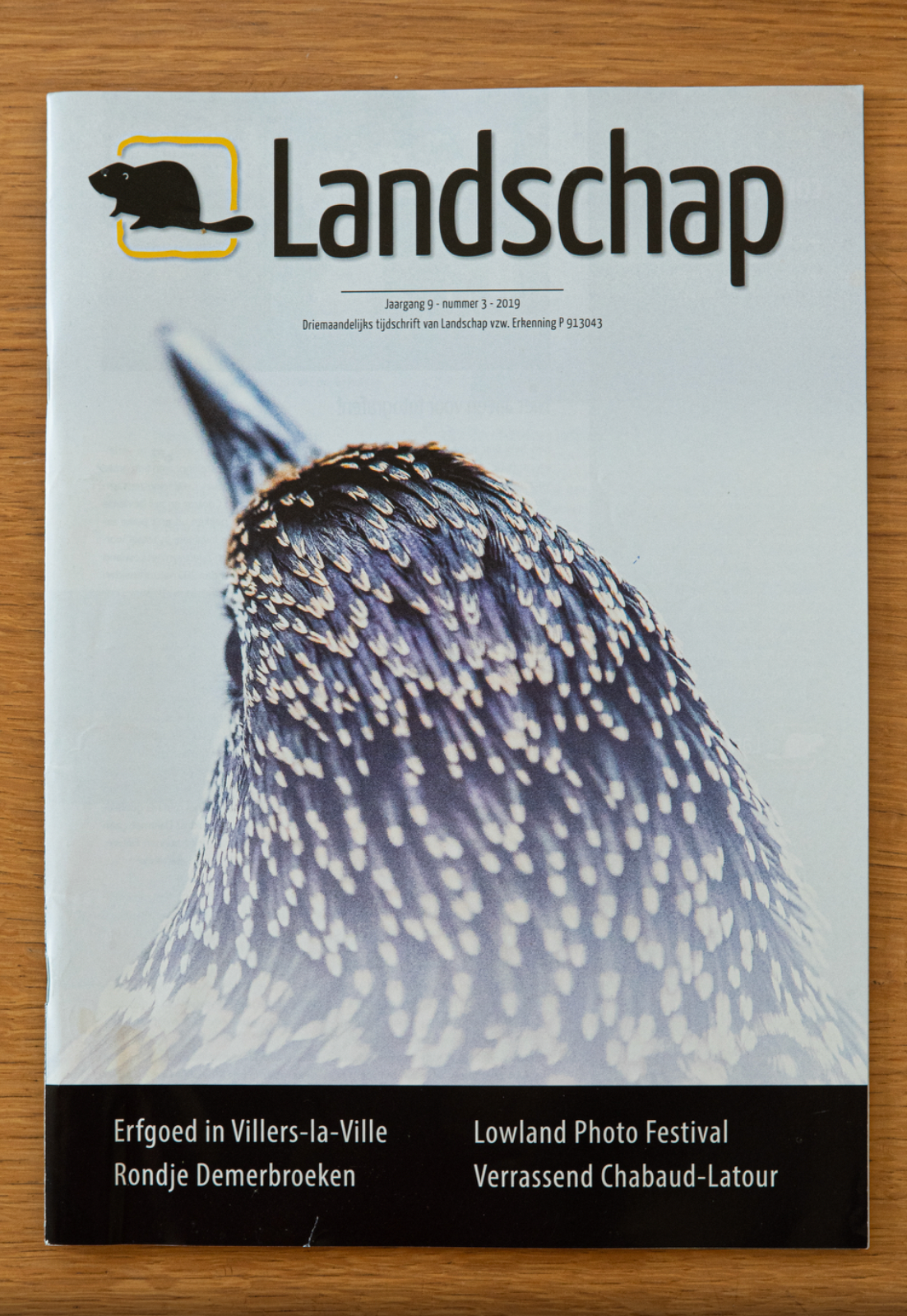 Coverphoto for "Landschap vzw" magazine nr3 2019