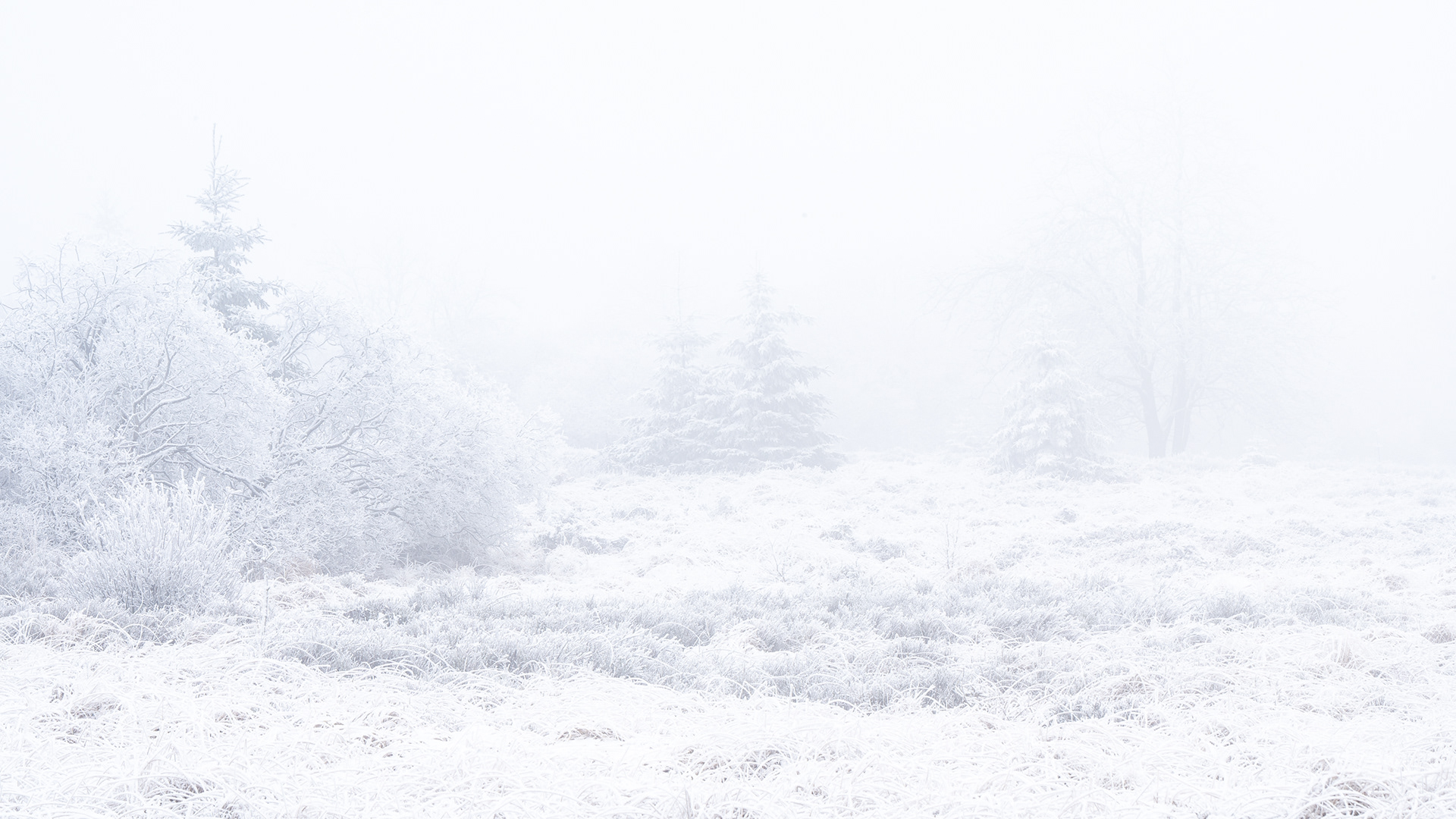 Winter II - High Fens