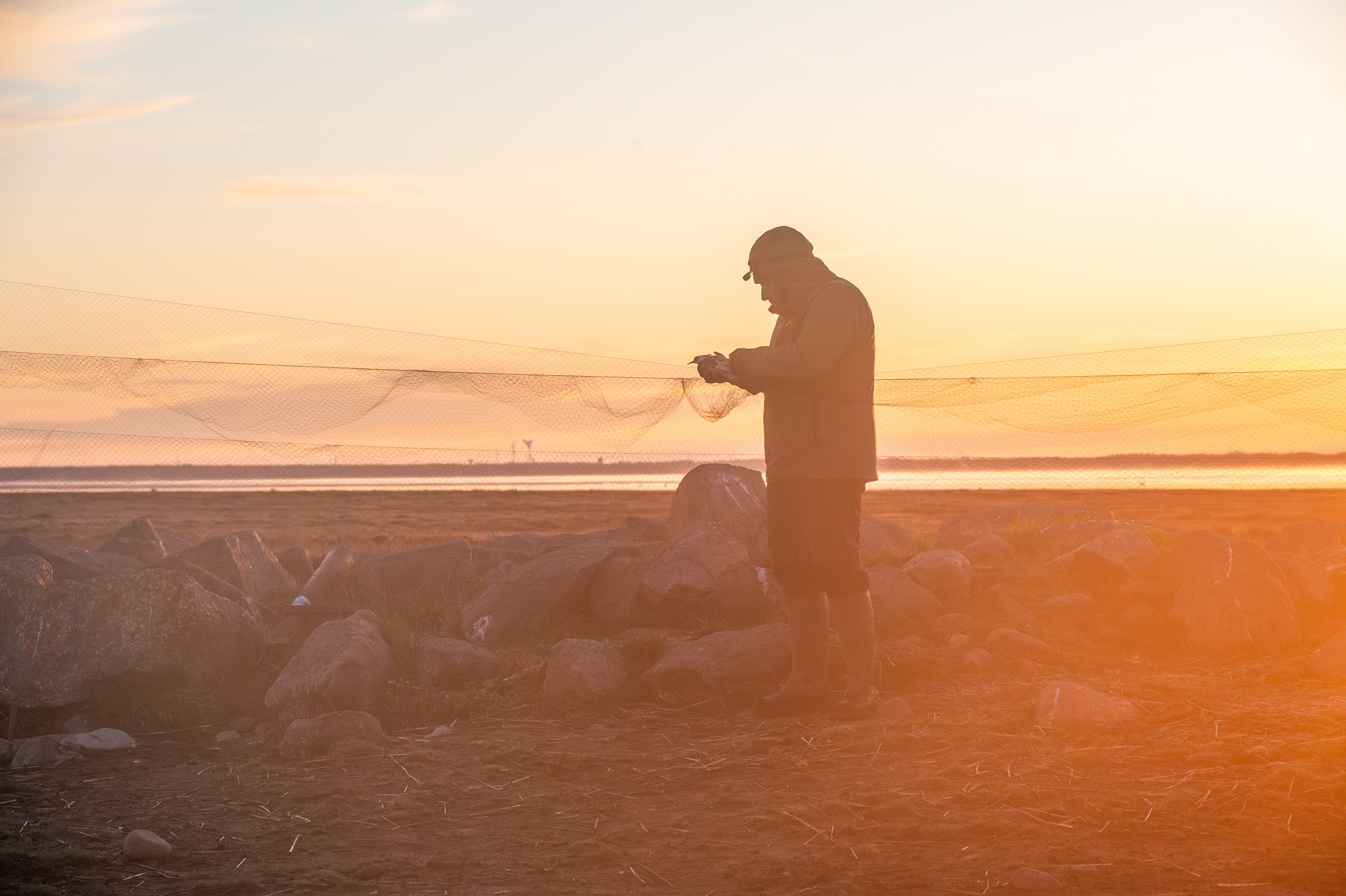 It has its charms, working all night and then getting birds out of the nets at first light.