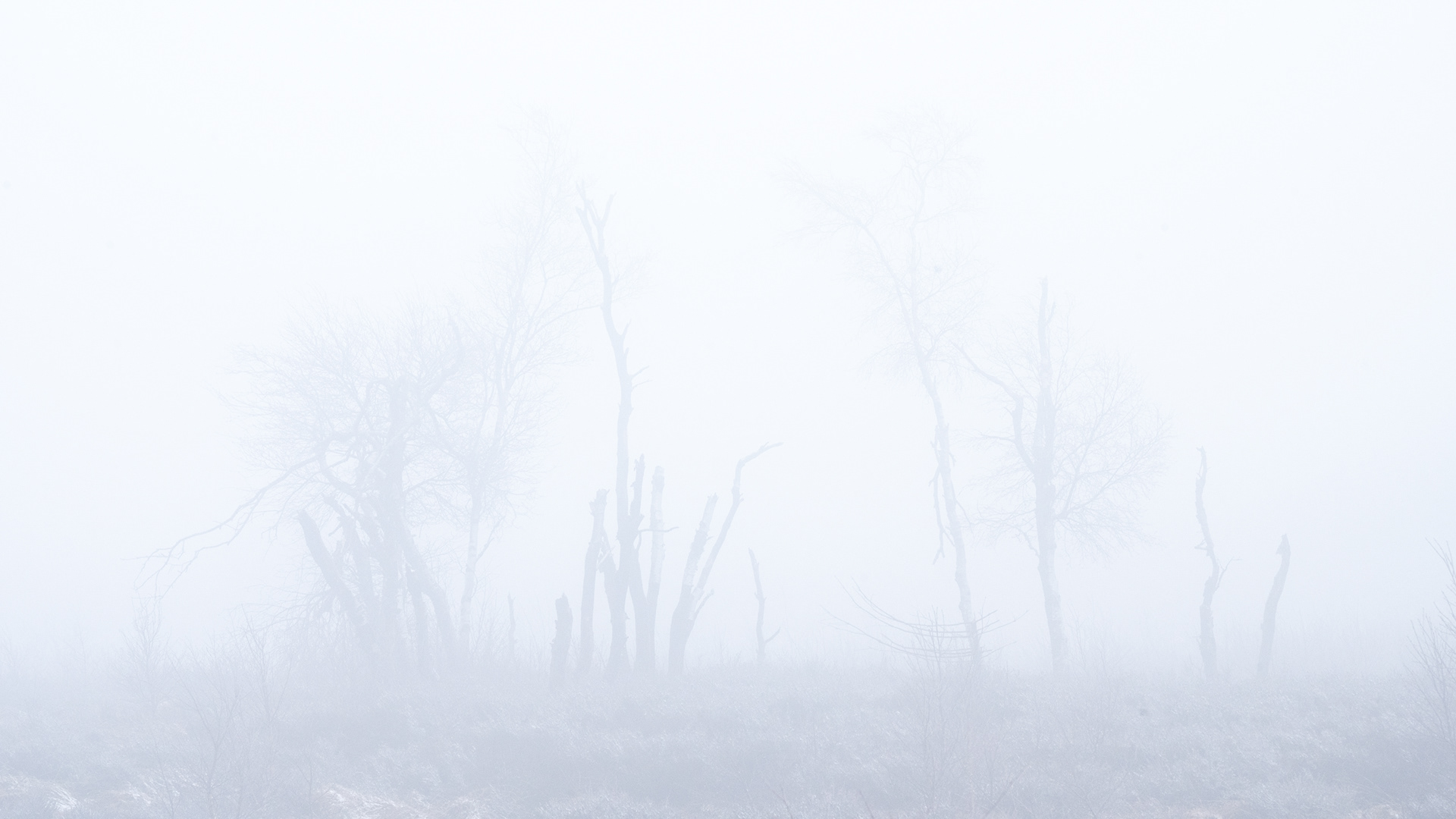 Winter VI - High Fens