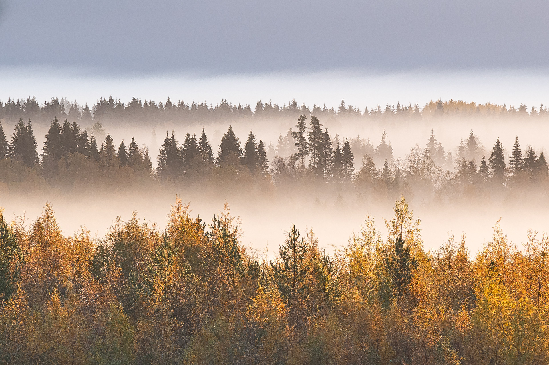 Landscapes like these give you more energy than three cups of coffee, believe me.
