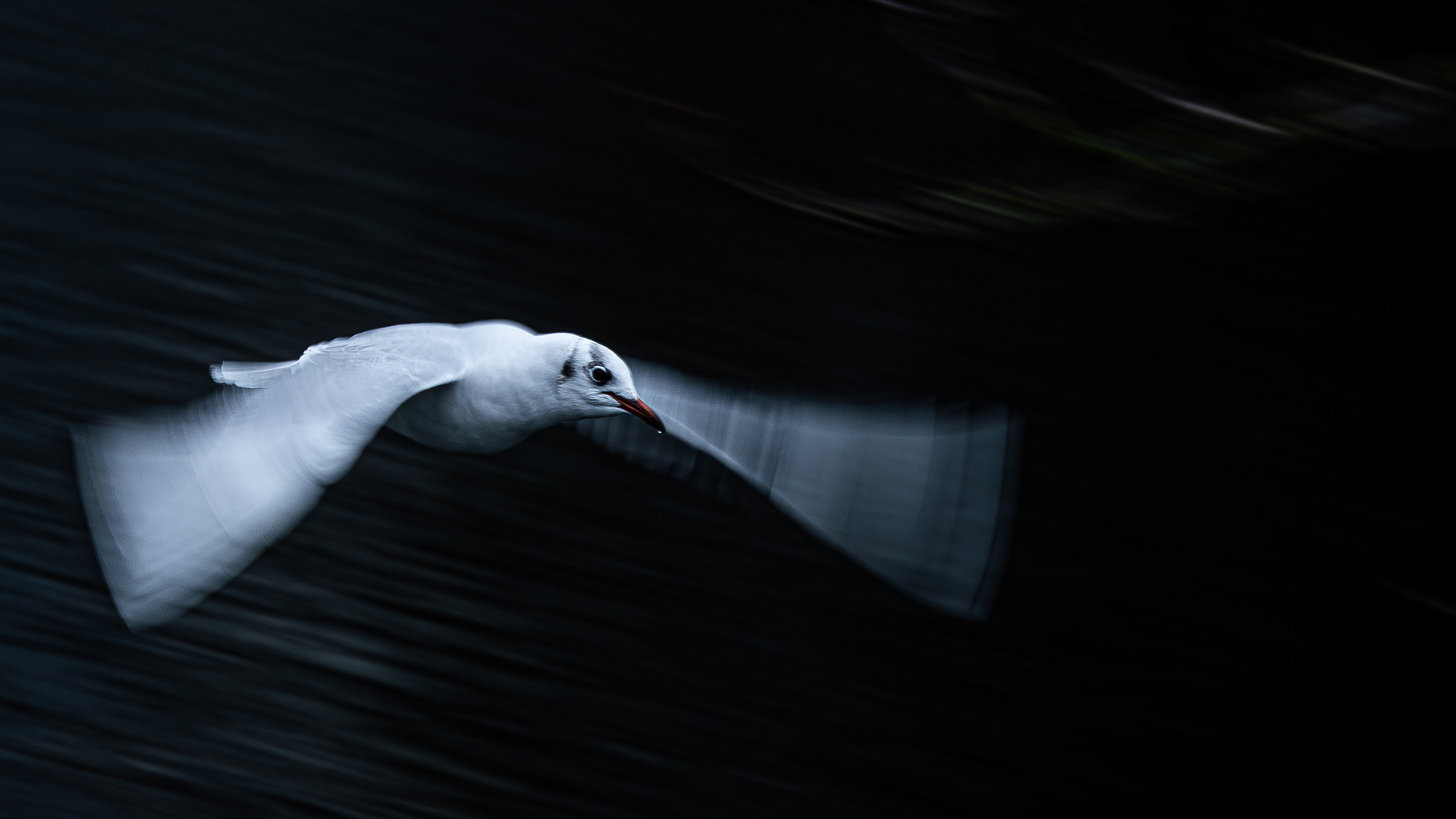 Moved by nature XV