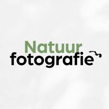 Wrote an article about the Kalmthoutse Heide (4 pages) and got interviewed for a 1 page article.