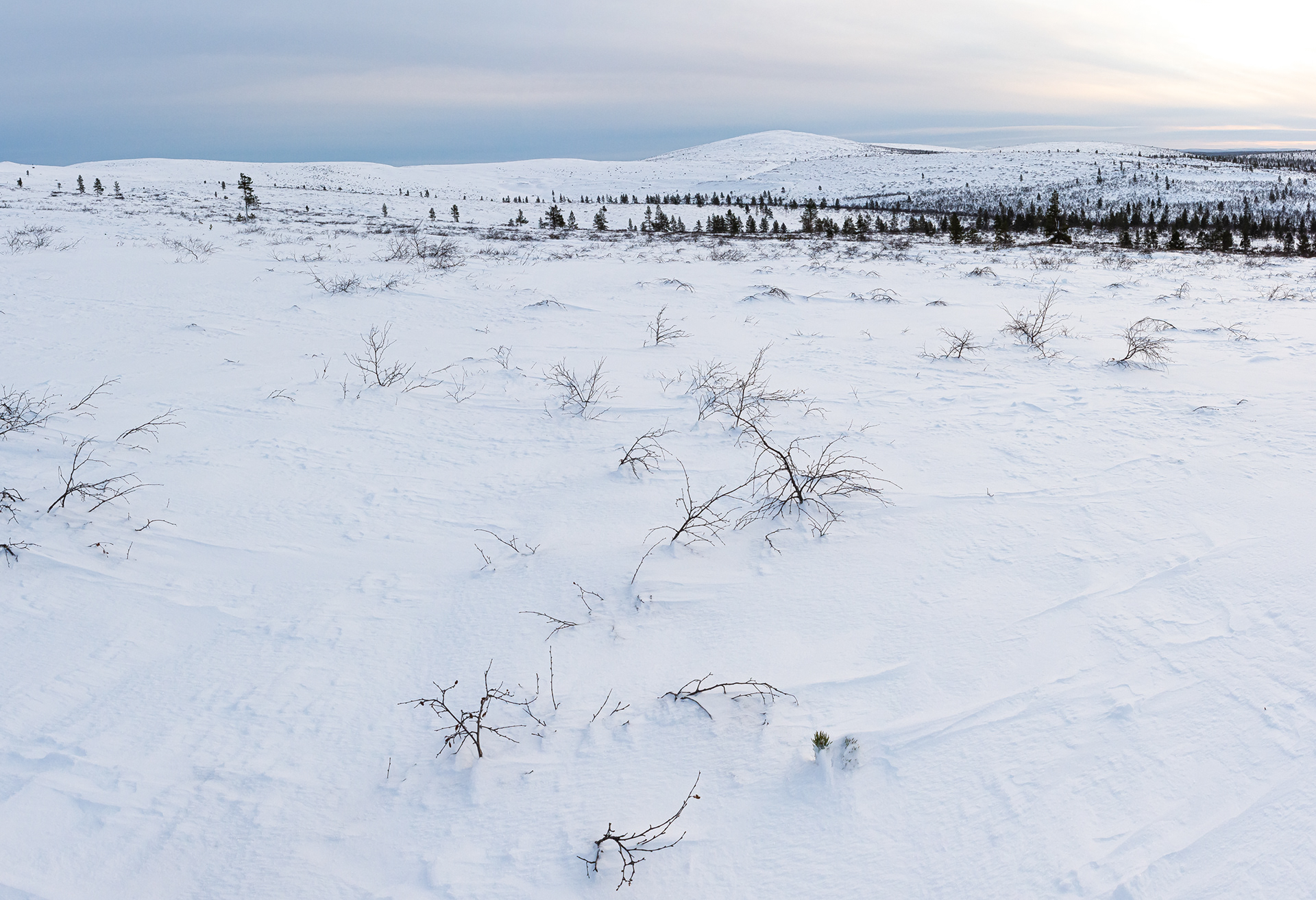 Winter landscape XII
