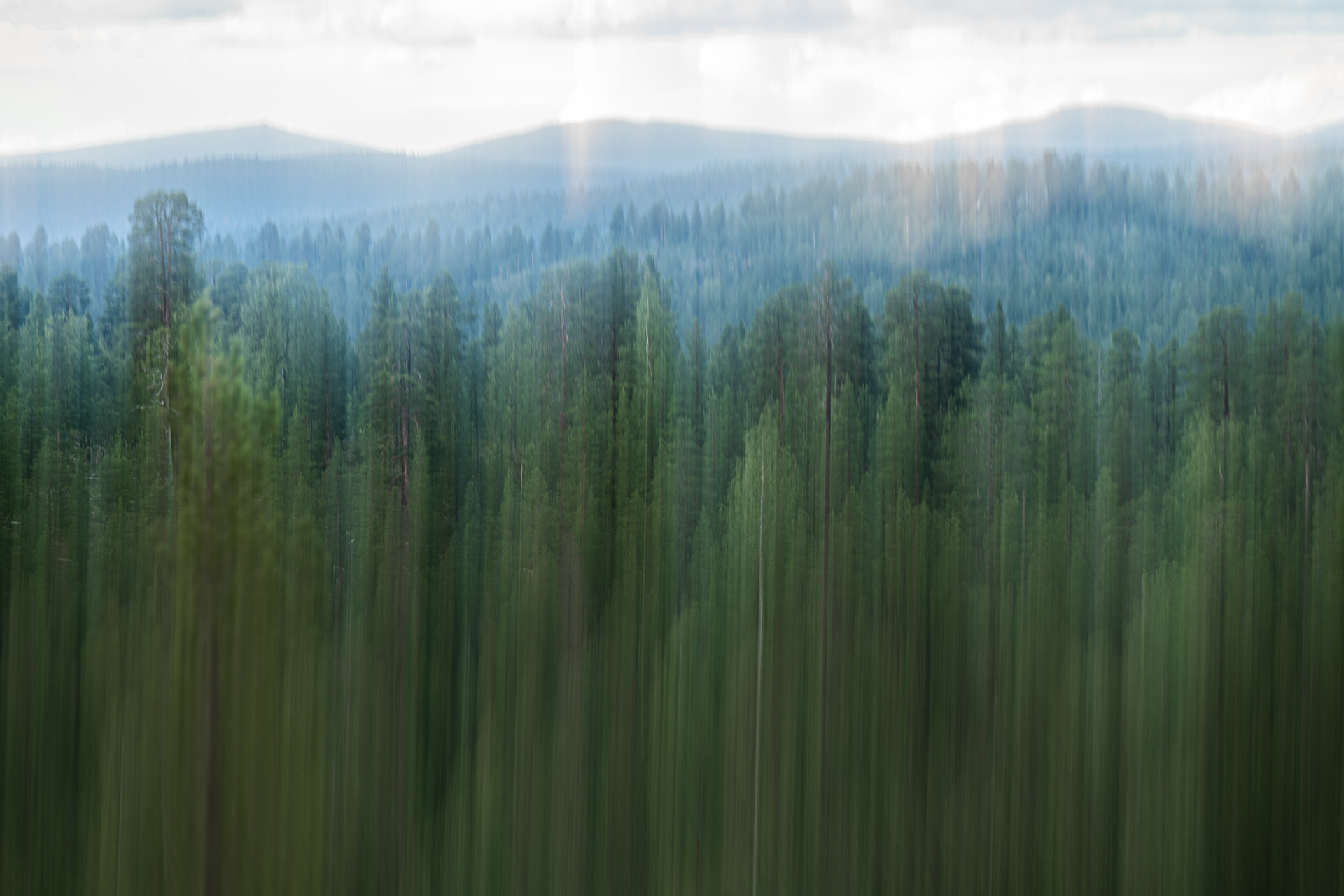 Moved by nature XIV