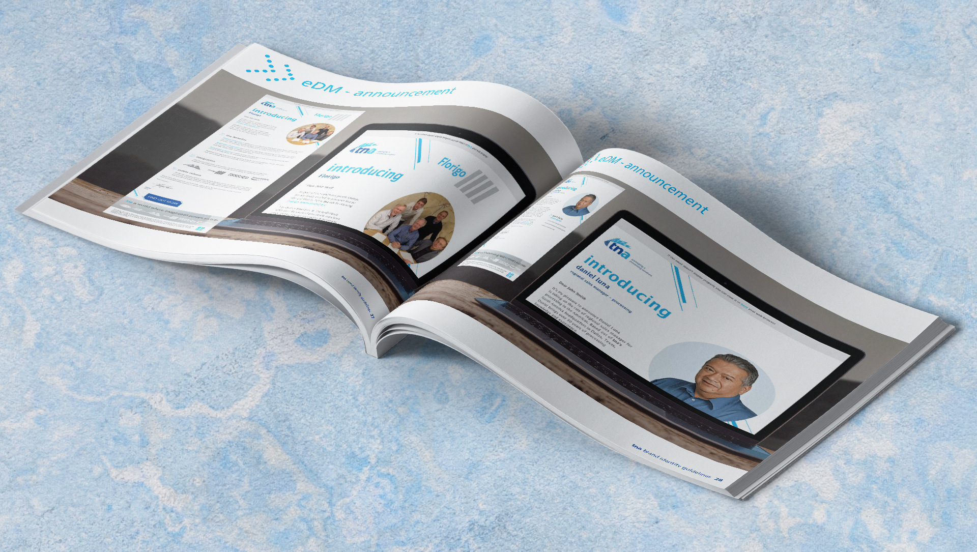 tna Mini Brand Book — deliverable 13