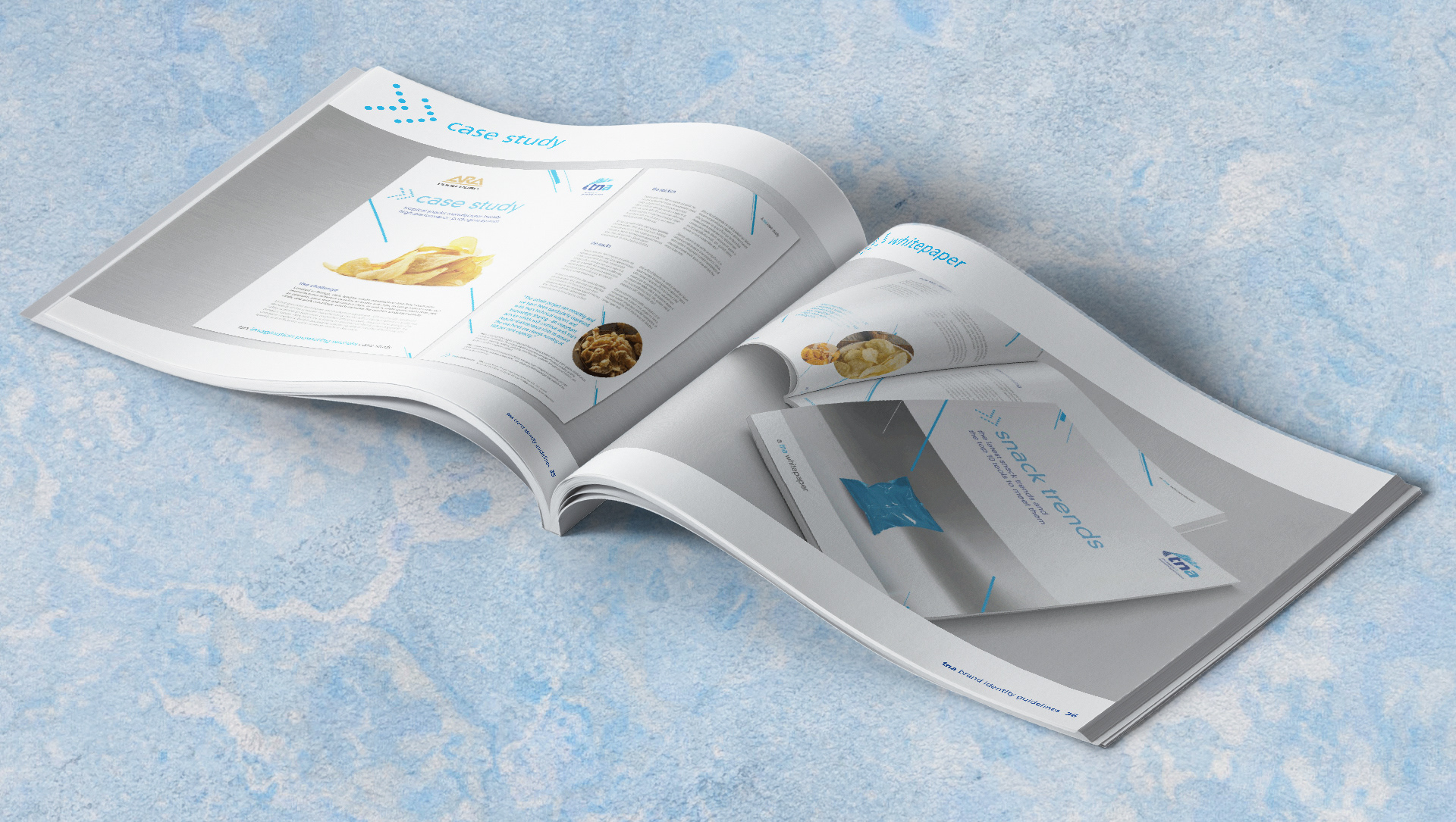 tna Mini Brand Book — deliverable 17