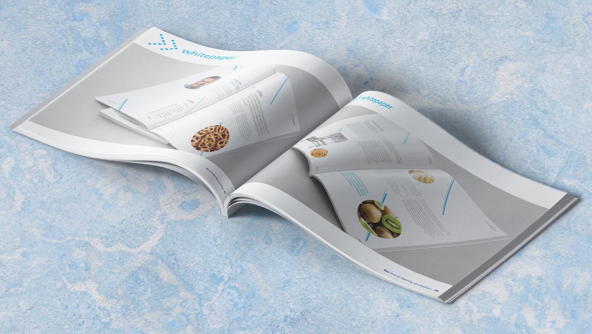 tna Mini Brand Book — deliverable 18