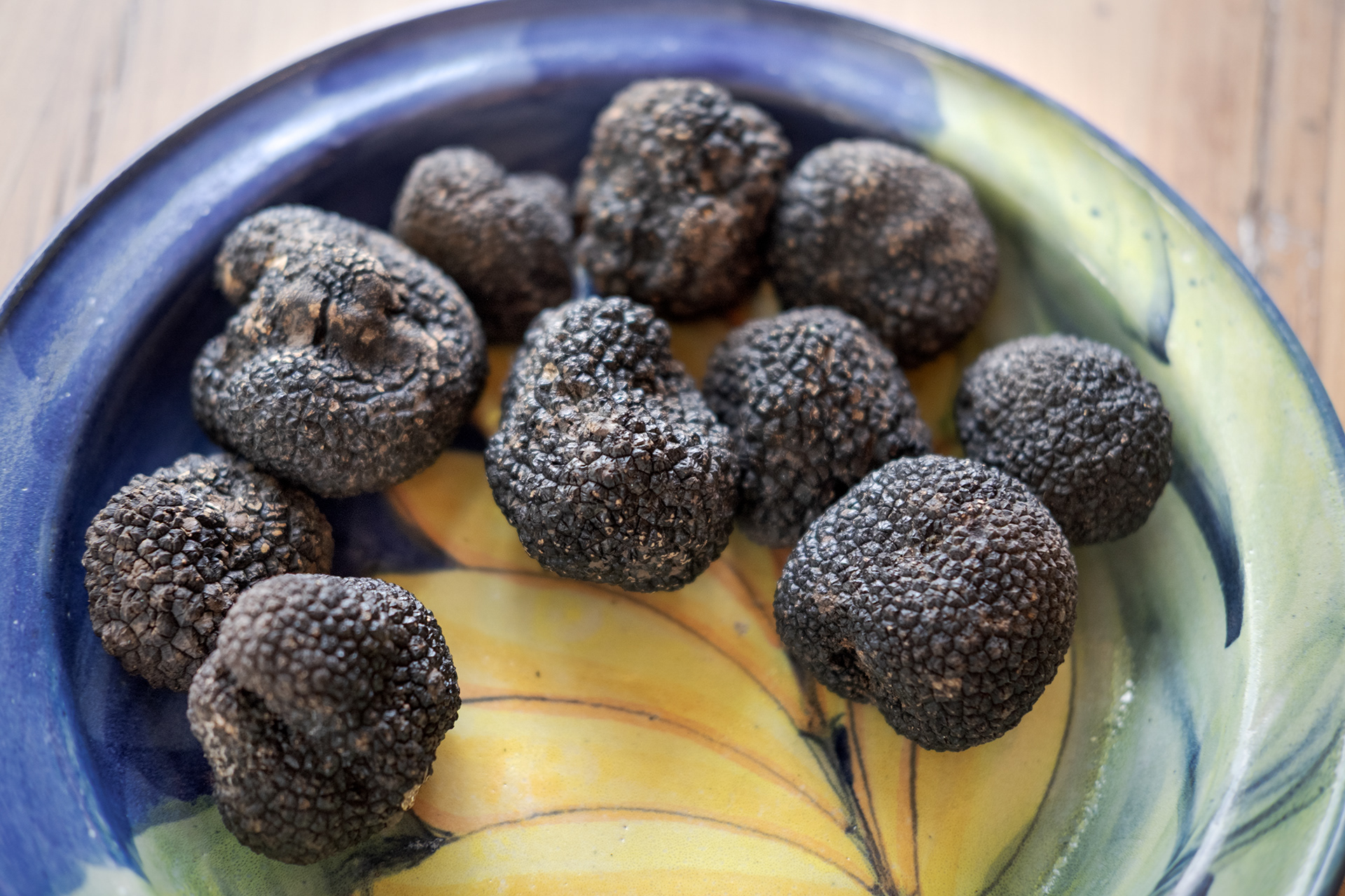 Culinary Experiences & Wine Promotion | Villa Mangiacane