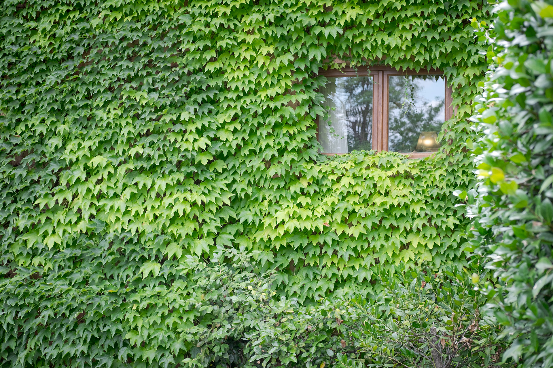 Culinary Experiences & Wine Promotion | Villa Mangiacane