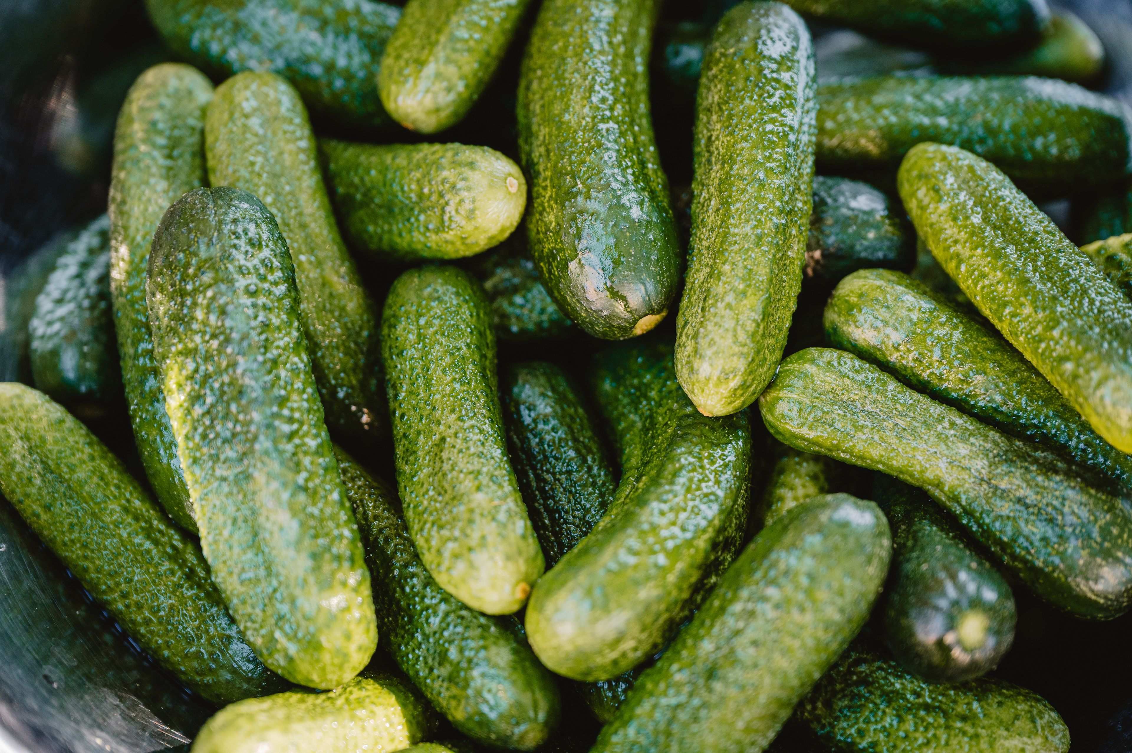 Zavařování okurek 