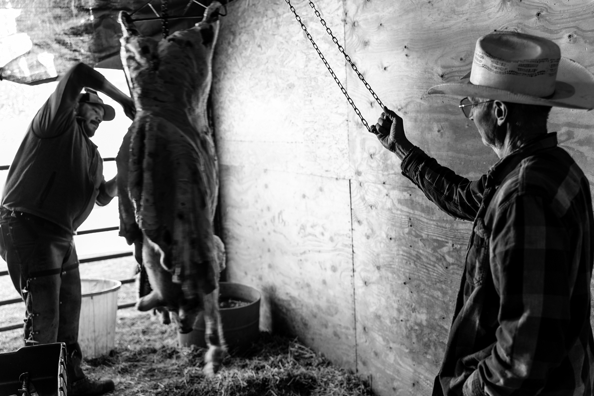 Arizona butchers and ranchers doing their thing.