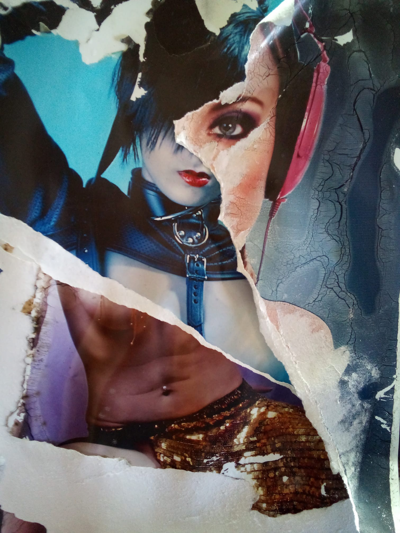 one night my prints got wet , a few weeks lateri tried to peel them apart and in so doing created this menajorie of all i love