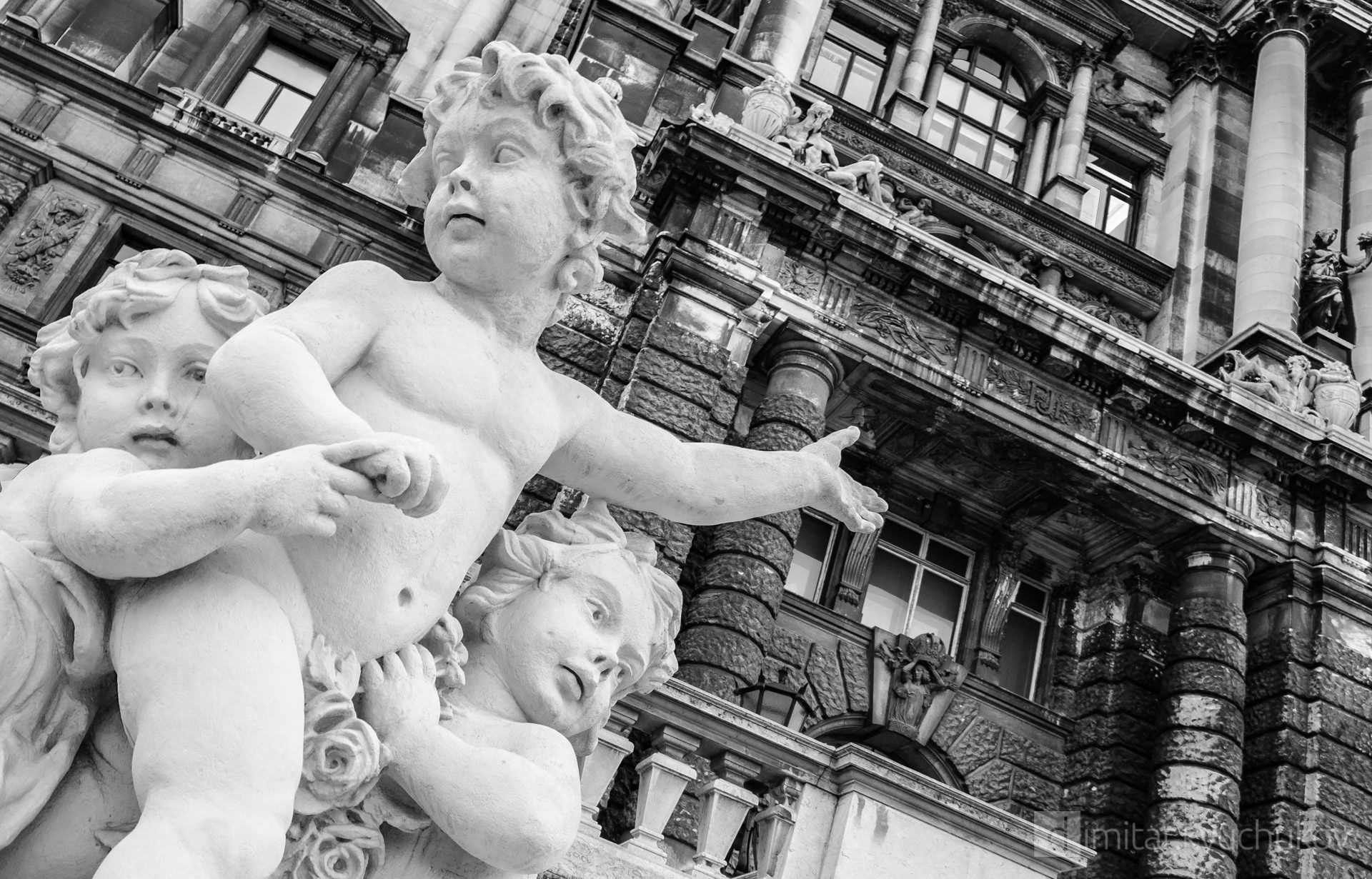 Vienna, black and white