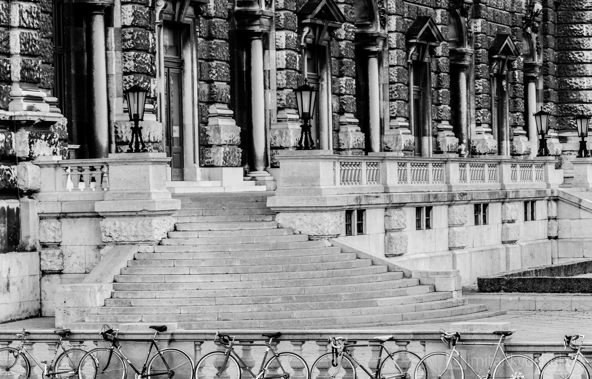 Vienna, black and white