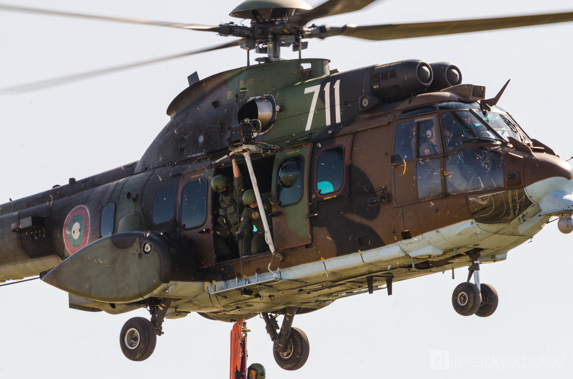 Cougar, Bulgarian Air Force