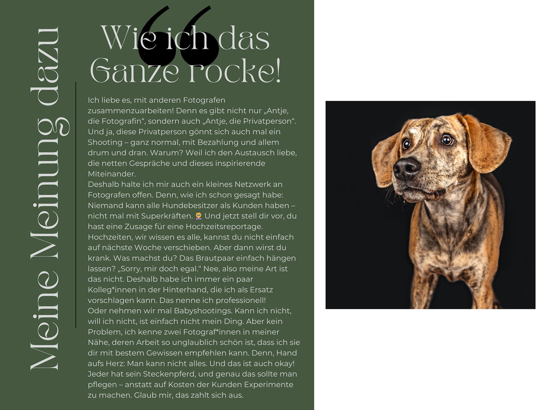 ch liebe es, mit anderen Fotografen zusammenzuarbeiten! Denn es gibt nicht nur „Antje, die Fotografin“, sondern auch „Antje, die Privatperson“. Und ja, diese Privatperson gönnt sich auch mal ein Shooting – ganz normal, mit Bezahlung und allem drum und dran. Warum? Weil ich den Austausch liebe, die netten Gespräche und dieses inspirierende Miteinander. Deshalb halte ich mir auch ein kleines Netzwerk an Fotografen offen. Denn, wie ich schon gesagt habe: Niemand kann alle Hundebesitzer als Kunden haben – nicht mal mit Superkräften. 🦸‍♀️ Und jetzt stell dir vor, du hast eine Zusage für eine Hochzeitsreportage. Hochzeiten, wir wissen es alle, kannst du nicht einfach auf nächste Woche verschieben. Aber dann wirst du krank. Was machst du? Das Brautpaar einfach hängen lassen? „Sorry, mir doch egal.“ Nee, also meine Art ist das nicht. Deshalb habe ich immer ein paar Kolleg*innen in der Hinterhand, die ich als Ersatz vorschlagen kann. Das nenne ich professionell! Oder nehmen wir mal Babyshootings. Kann ich nicht, will ich nicht, ist einfach nicht mein Ding. Aber kein Problem, ich kenne zwei Fotograf*innen in meiner Nähe, deren Arbeit so unglaublich schön ist, dass ich sie dir mit bestem Gewissen empfehlen kann. Denn, Hand aufs Herz: Man kann nicht alles. Und das ist auch okay! Jeder hat sein Steckenpferd, und genau das sollte man pflegen – anstatt auf Kosten der Kunden Experimente zu machen. Glaub mir, das zahlt sich aus.