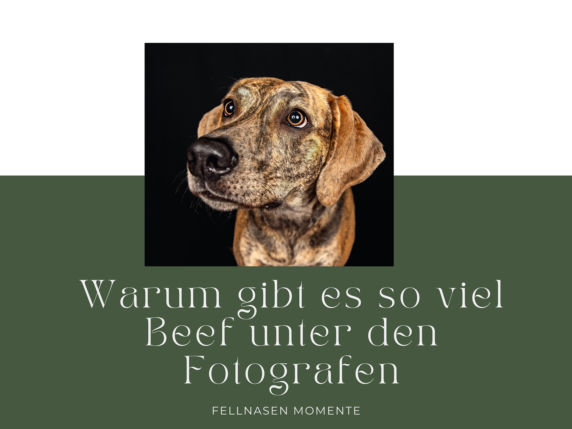 Warum gibt es so viel Beef unter den Fotografen