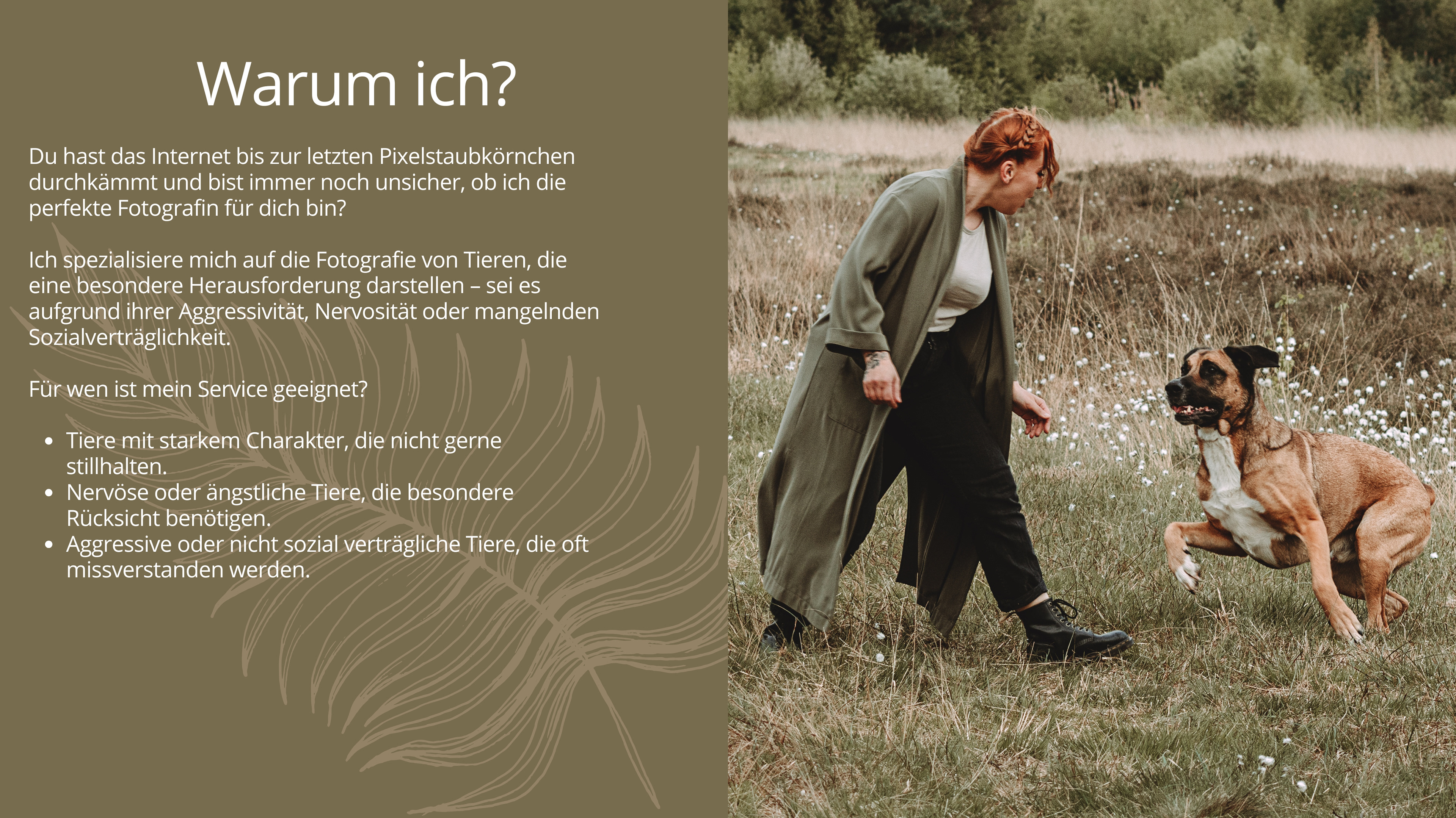 Du hast das Internet bis zur letzten Pixelstaubkörnchen durchkämmt und bist immer noch unsicher, ob ich die perfekte Fotografin für dich bin?   Ich spezialisiere mich auf die Fotografie von Tieren, die eine besondere Herausforderung darstellen – sei es aufgrund ihrer Aggressivität, Nervosität oder mangelnden Sozialverträglichkeit.  Für wen ist mein Service geeignet?  Tiere mit starkem Charakter, die nicht gerne stillhalten. Nervöse oder ängstliche Tiere, die besondere Rücksicht benötigen. Aggressive oder nicht sozial verträgliche Tiere, die oft missverstanden werden.