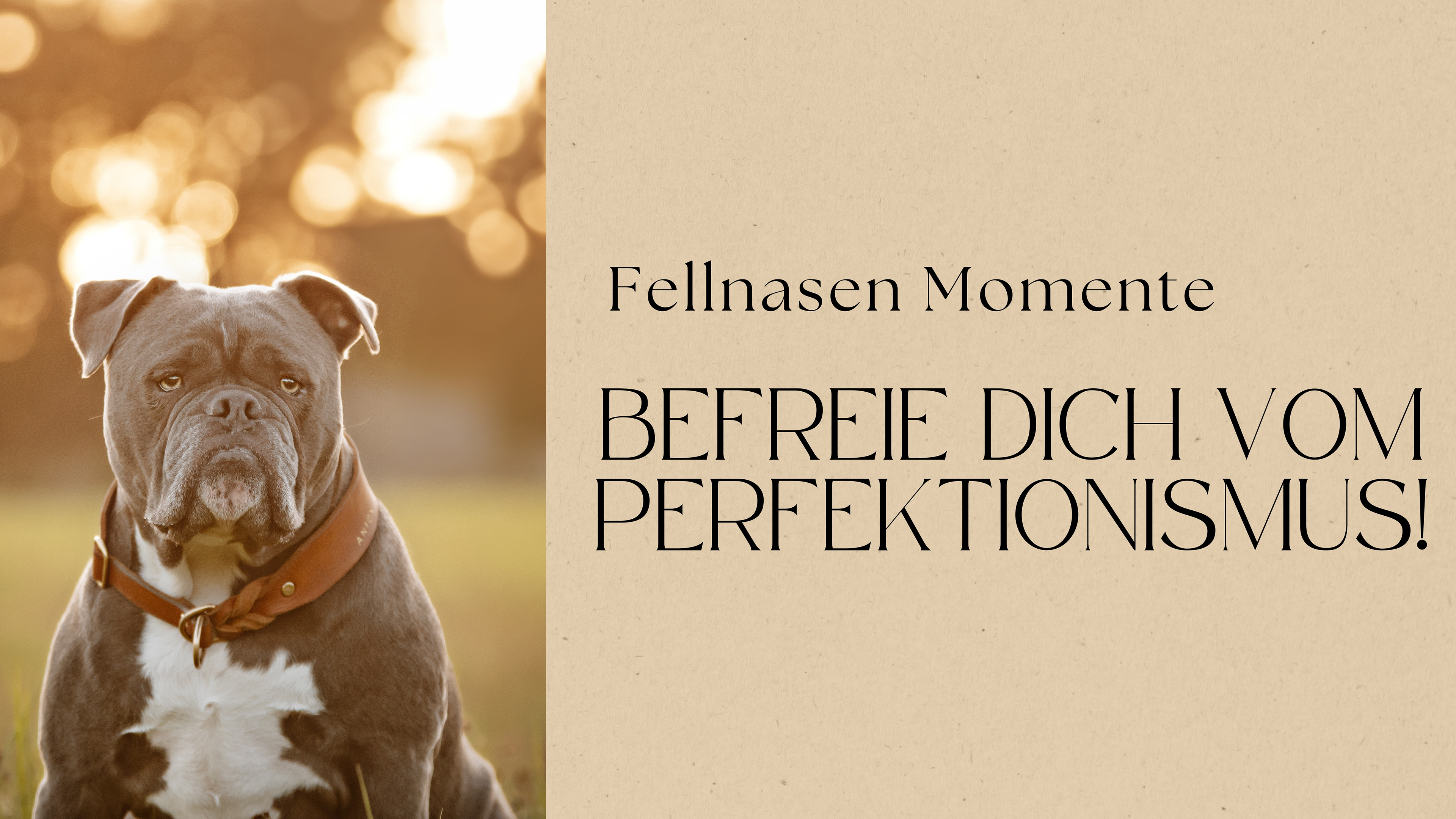 Befreie dich vom Perfektionismus!