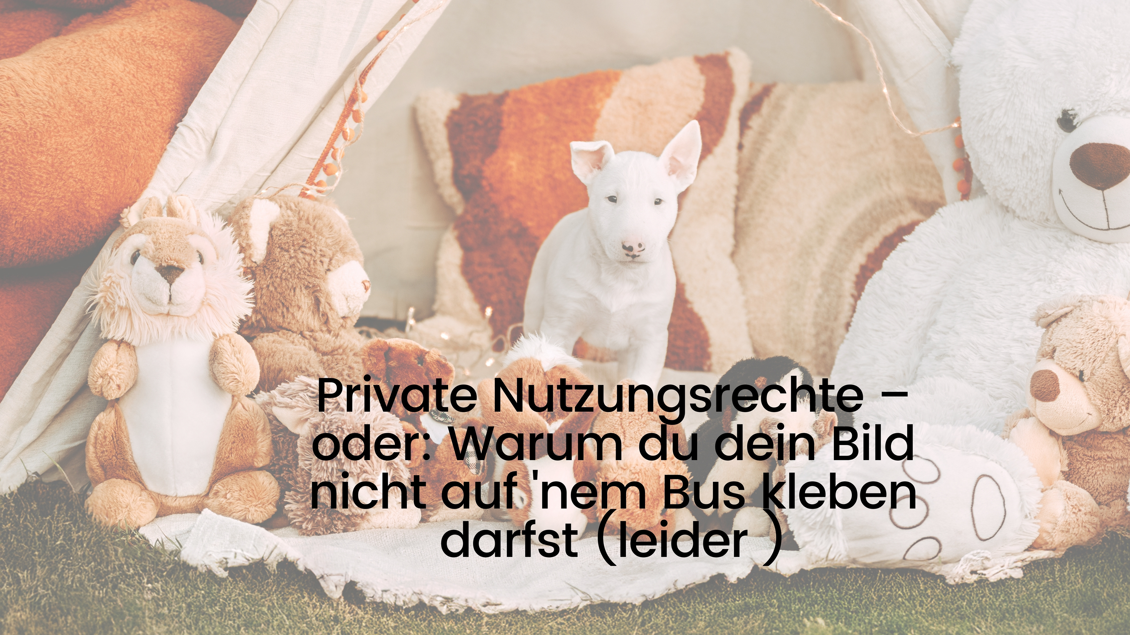 Private Nutzungsrechte – oder: Warum du dein Bild nicht auf 'nem Bus kleben darfst (leider 😅) Also, stell dir vor, wir haben ein grandioses Fotoshooting hinter uns. Du siehst aus wie frisch aus der Vogue gefallen, dein Hund guckt süßer als jeder Insta-Star – kurz gesagt: Bilder zum Verlieben! Und jetzt? Jetzt kriegst du deine Bilder. Und zwar mit privaten Nutzungsrechten.  Was heißt das jetzt genau? Keine Panik, ich erklär's dir. In einfach. Ohne Paragraphen-Kauderwelsch. Versprochen!  📸 Du darfst: Die Bilder speichern, anschauen, drucken – so oft du willst!  Sie deiner Familie zeigen (auch der Tante, die kein WhatsApp hat).  Sie auf deinem privaten Insta, Facebook & Co. posten – mit einem kleinen Hinweis auf mich als Fotografin, bitte schön (z. B. „Foto: @antjefotografiert“ – ich freu mich riesig drüber!).  Dein Wohnzimmer damit tapezieren (mach ich auch manchmal – nur halt mit Hundefotos 😄).  🚫 Du darfst nicht: Die Bilder verkaufen oder für Werbung nutzen – also nix mit "Mein neues Shampoo – präsentiert von diesem tollen Porträt!"  Sie an Firmen oder Dritte weitergeben, die damit was verdienen wollen (ja, auch der lokale Friseursalon zählt da).  Die Fotos bearbeiten, retuschieren oder Filter drüberklatschen, bis du aussiehst wie eine Disney-Prinzessin auf Speed. Lass das lieber meine Aufgabe sein – ich kann das, versprochen!  Warum ist das so? Ganz einfach: Ich als Fotografin bleibe die Urheberin der Bilder. Das heißt, ich hab das „Hausrecht“ über die Fotos. Und du bekommst das Recht, sie privat zu nutzen. Das ist wie beim Leihen von Büchern: Du darfst sie lesen, weiterempfehlen, lieben – aber nicht einfach selber neu drucken und verkaufen.  Klingt fair, oder?  Und wenn du mehr willst? Dann reden wir! Wenn du die Bilder für deine Website, Flyer oder Business brauchst, gibt’s extra Nutzungsrechte. Die kosten zwar etwas mehr – aber hey, du bekommst auch richtig gutes Zeug dafür. Und keine Sorge: Ich erklär dir alles in Ruhe, damit du genau weißt, wofür du bezahlst (und wofür nicht).  Wenn du dir also nach dem Shooting denkst: "Boah, das will ich der ganzen Welt zeigen!" – dann sag Bescheid. Ich helf dir gern dabei, die richtigen Nutzungsrechte zu bekommen. Ohne Kleingedrucktes. Dafür mit ’nem Lächeln.  Also: Mach’s dir gemütlich mit deinen Bildern – aber bitte nicht heimlich zur Werbeikone werden, ohne mich einzuweihen   Herzlich knipsige Grüße, Antje 
