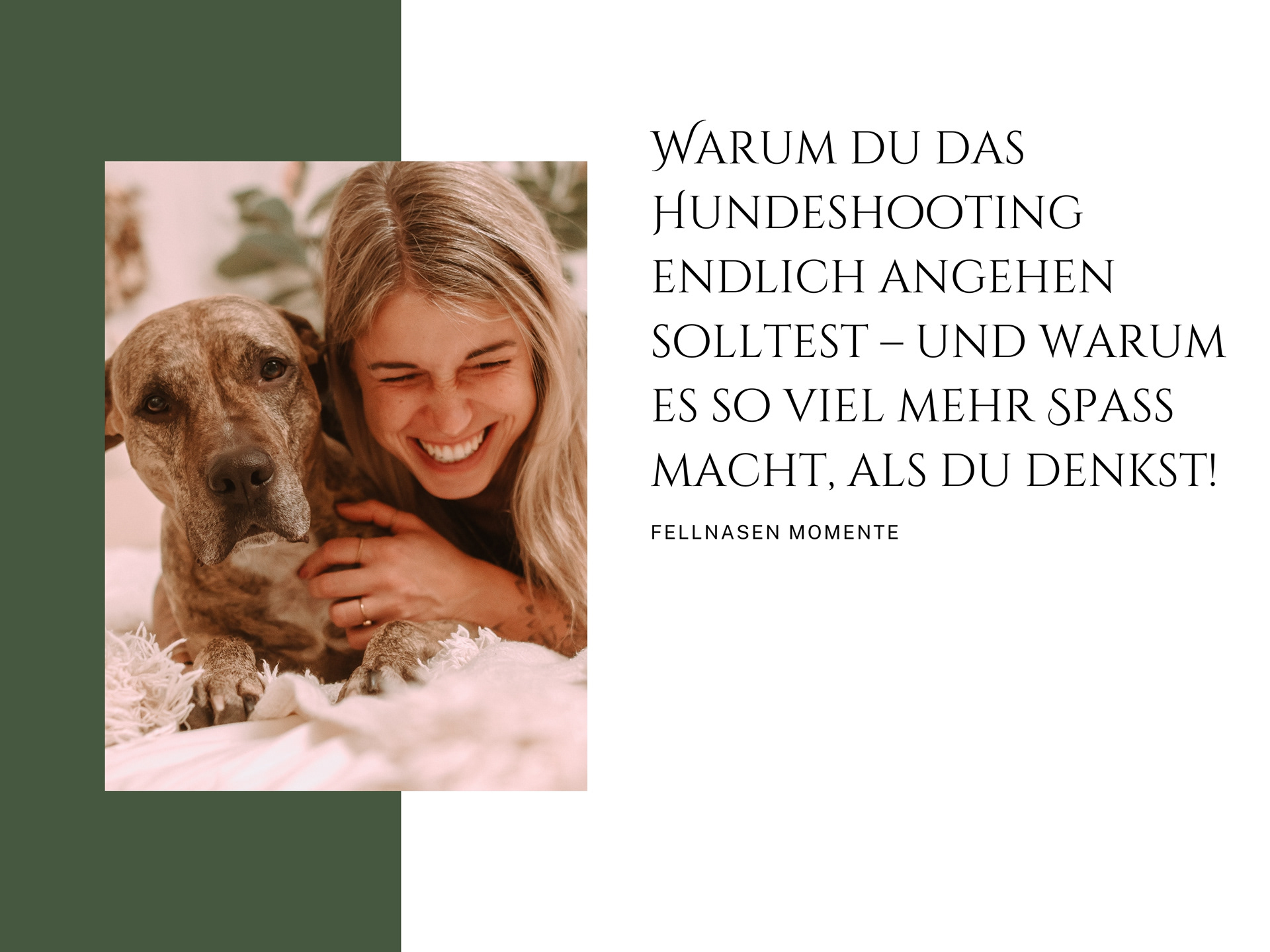 Warum du das Hundeshooting endlich angehen solltest – und warum es so viel mehr Spaß macht, als du denkst!