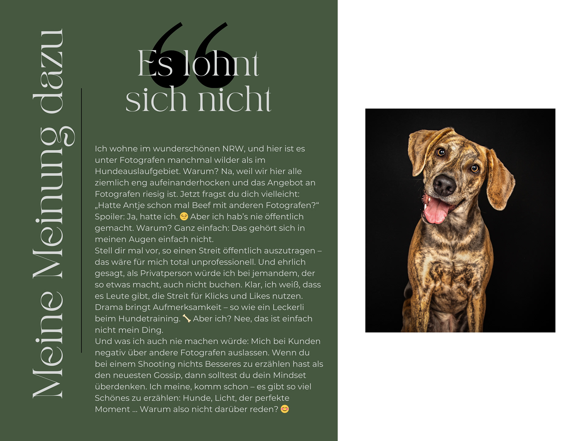 Ich wohne im wunderschönen NRW, und hier ist es unter Fotografen manchmal wilder als im Hundeauslaufgebiet. Warum? Na, weil wir hier alle ziemlich eng aufeinanderhocken und das Angebot an Fotografen riesig ist. Jetzt fragst du dich vielleicht: „Hatte Antje schon mal Beef mit anderen Fotografen?“ Spoiler: Ja, hatte ich. 😏 Aber ich hab’s nie öffentlich gemacht. Warum? Ganz einfach: Das gehört sich in meinen Augen einfach nicht. Stell dir mal vor, so einen Streit öffentlich auszutragen – das wäre für mich total unprofessionell. Und ehrlich gesagt, als Privatperson würde ich bei jemandem, der so etwas macht, auch nicht buchen. Klar, ich weiß, dass es Leute gibt, die Streit für Klicks und Likes nutzen. Drama bringt Aufmerksamkeit – so wie ein Leckerli beim Hundetraining. 🦴 Aber ich? Nee, das ist einfach nicht mein Ding. Und was ich auch nie machen würde: Mich bei Kunden negativ über andere Fotografen auslassen. Wenn du bei einem Shooting nichts Besseres zu erzählen hast als den neuesten Gossip, dann solltest du dein Mindset überdenken. Ich meine, komm schon – es gibt so viel Schönes zu erzählen: Hunde, Licht, der perfekte Moment … Warum also nicht darüber reden? 😊