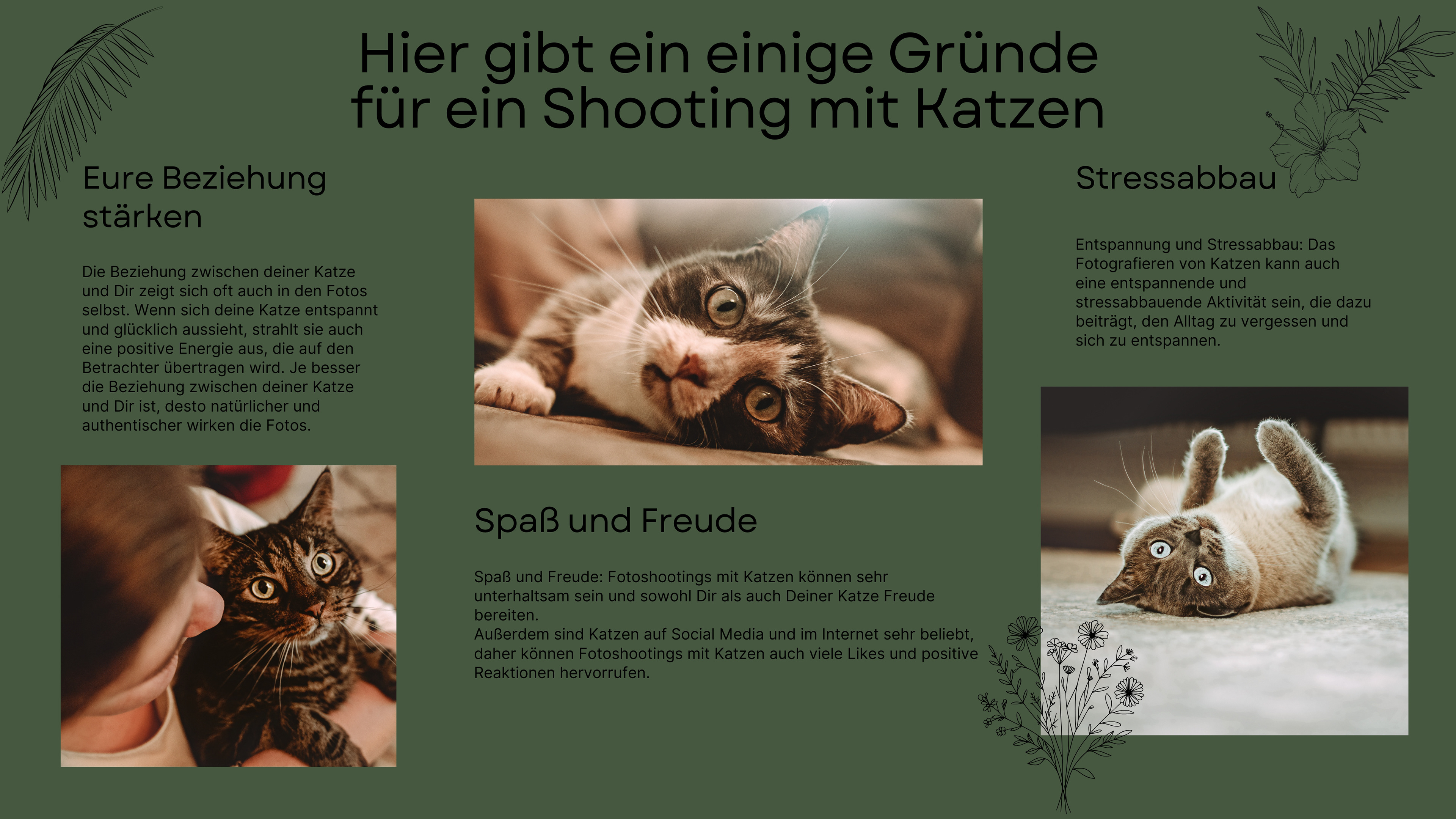 Hier gibt ein einige Gründe für ein Die Beziehung zwischen deiner Katze und Dir zeigt sich oft auch in den Fotos selbst. Wenn sich deine Katze entspannt und glücklich aussieht, strahlt sie auch eine positive Energie aus, die auf den Betrachter übertragen wird. Je besser die Beziehung zwischen deiner Katze und Dir ist, desto natürlicher und authentischer wirken die Fotos. Shooting mit Katzen: Spaß und Freude: Fotoshootings mit Katzen können sehr unterhaltsam sein und sowohl Dir als auch Deiner Katze Freude bereiten.   Außerdem sind Katzen auf Social Media und im Internet sehr beliebt, daher können Fotoshootings mit Katzen auch viele Likes und positive Reaktionen hervorrufen.