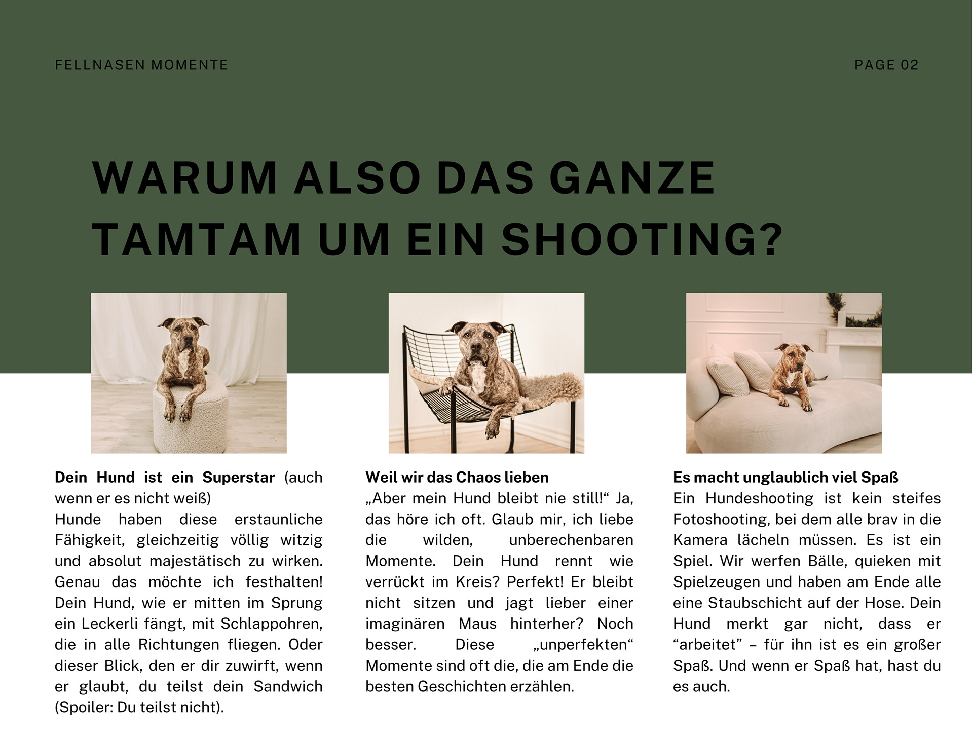 Dein Hund ist ein Superstar (auch wenn er es nicht weiß) Hunde haben diese erstaunliche Fähigkeit, gleichzeitig völlig witzig und absolut majestätisch zu wirken. Genau das möchte ich festhalten! Dein Hund, wie er mitten im Sprung ein Leckerli fängt, mit Schlappohren, die in alle Richtungen fliegen. Oder dieser Blick, den er dir zuwirft, wenn er glaubt, du teilst dein Sandwich (Spoiler: Du teilst nicht).Weil wir das Chaos lieben „Aber mein Hund bleibt nie still!“ Ja, das höre ich oft. Glaub mir, ich liebe die wilden, unberechenbaren Momente. Dein Hund rennt wie verrückt im Kreis? Perfekt! Er bleibt nicht sitzen und jagt lieber einer imaginären Maus hinterher? Noch besser. Diese „unperfekten“ Momente sind oft die, die am Ende die besten Geschichten erzählen. s macht unglaublich viel Spaß Ein Hundeshooting ist kein steifes Fotoshooting, bei dem alle brav in die Kamera lächeln müssen. Es ist ein Spiel. Wir werfen Bälle, quieken mit Spielzeugen und haben am Ende alle eine Staubschicht auf der Hose. Dein Hund merkt gar nicht, dass er “arbeitet” – für ihn ist es ein großer Spaß. Und wenn er Spaß hat, hast du es auch.