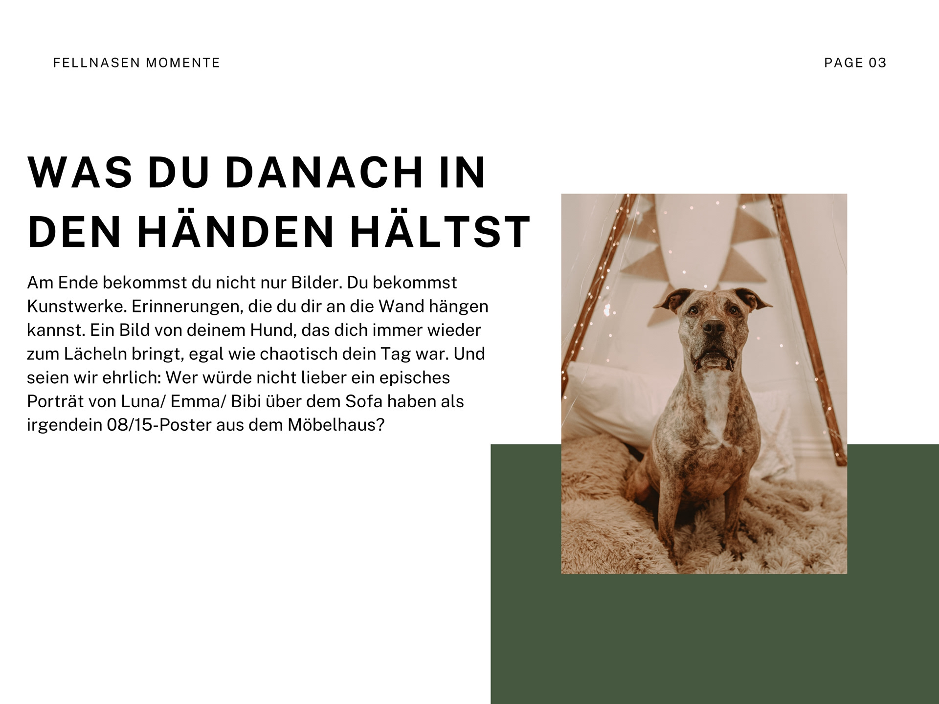 Am Ende bekommst du nicht nur Bilder. Du bekommst Kunstwerke. Erinnerungen, die du dir an die Wand hängen kannst. Ein Bild von deinem Hund, das dich immer wieder zum Lächeln bringt, egal wie chaotisch dein Tag war. Und seien wir ehrlich: Wer würde nicht lieber ein episches Porträt von Luna/ Emma/ Bibi über dem Sofa haben als irgendein 08/15-Poster aus dem Möbelhaus?