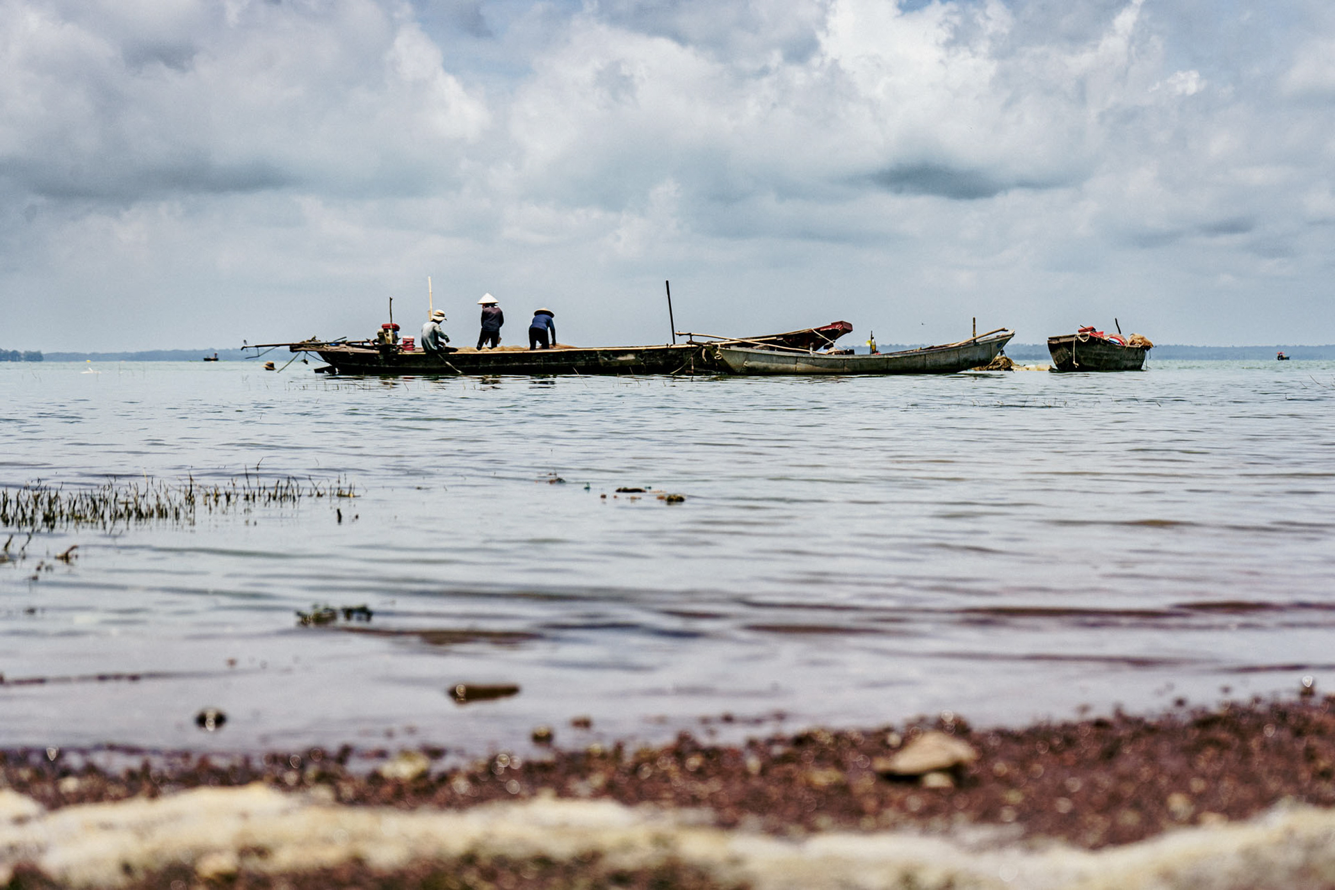 Bến Nôm - Phú Cường 2023