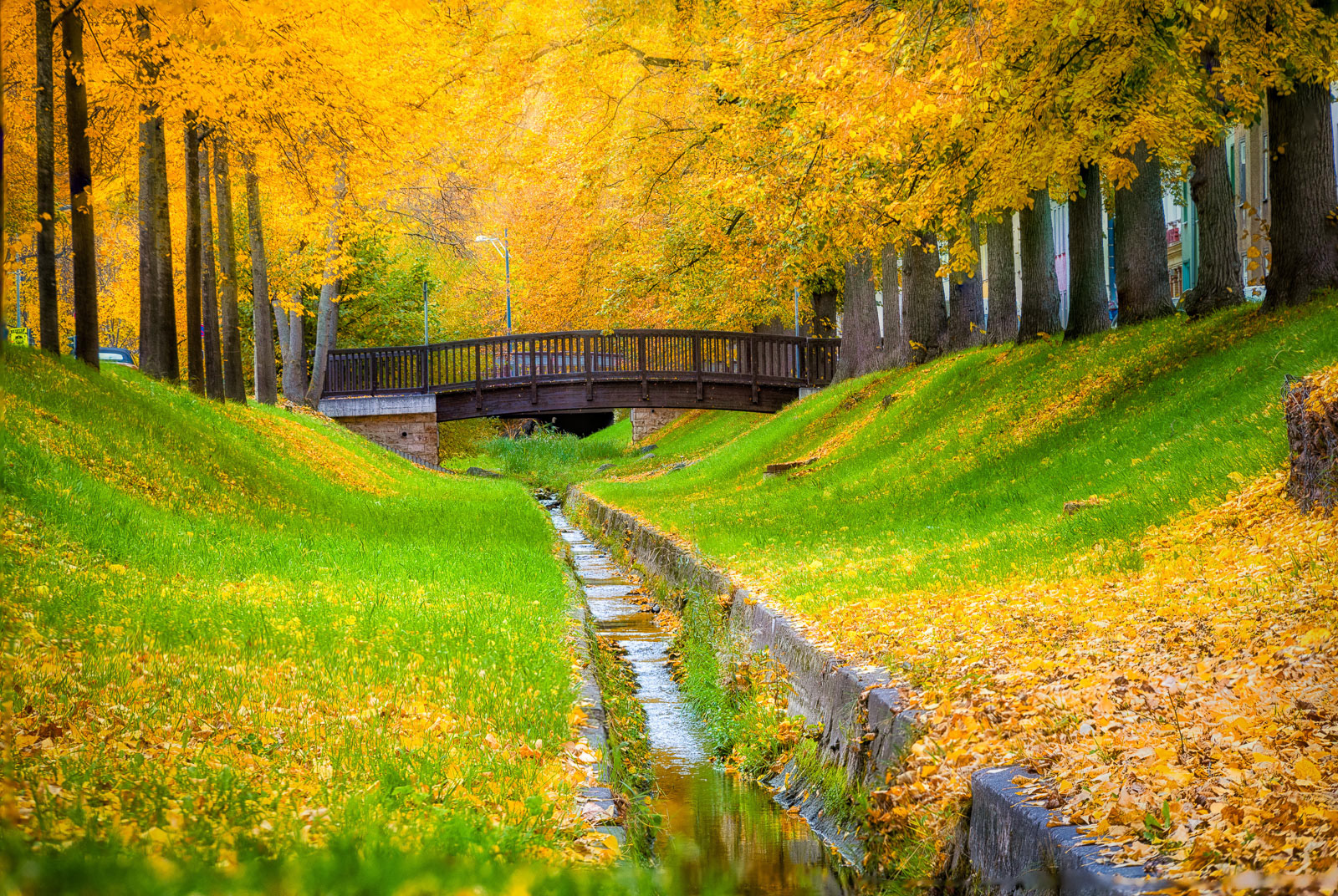 Goldener Himmel an der Weiße