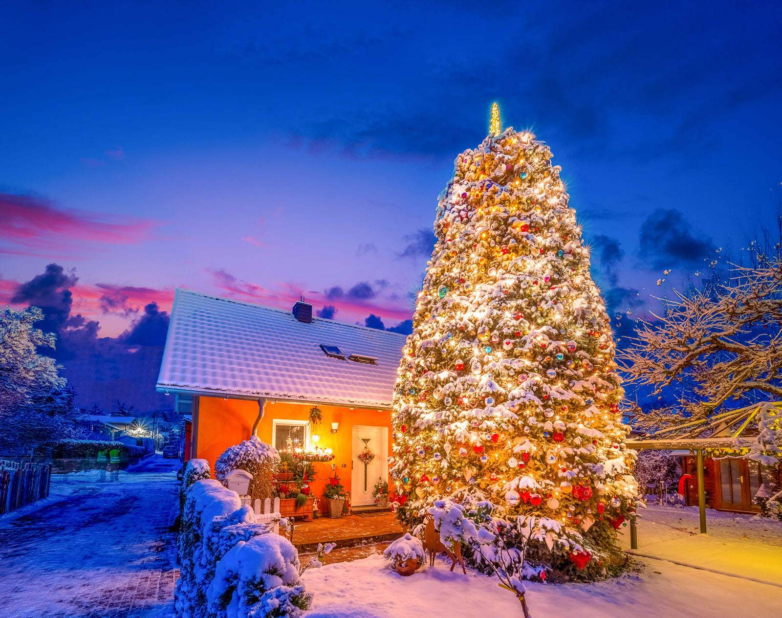 Jedes Jahr der schönste Weihnachtsbaum in Arnstadt